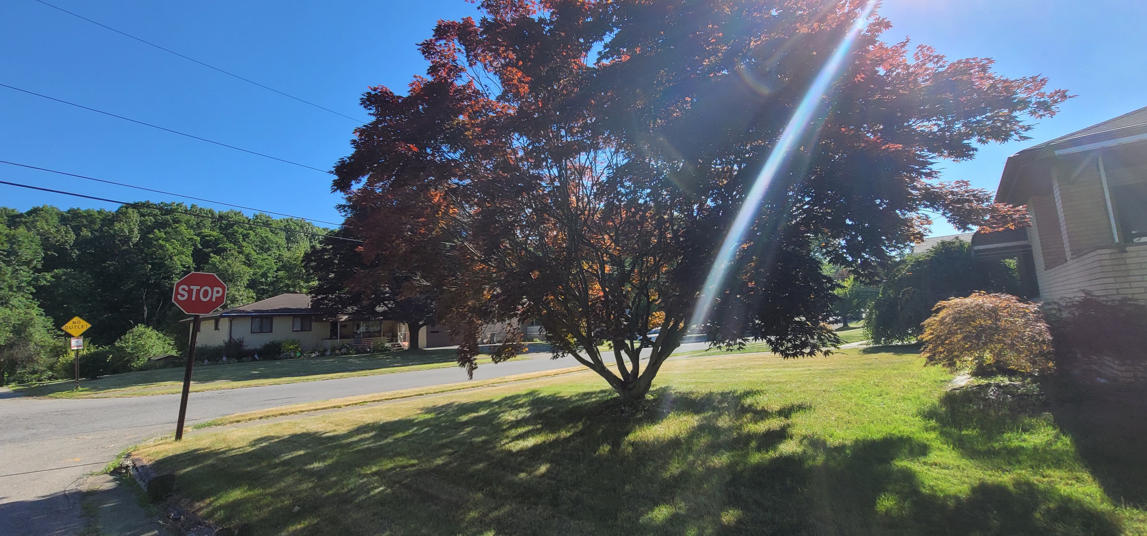 20220630_173952.jpg