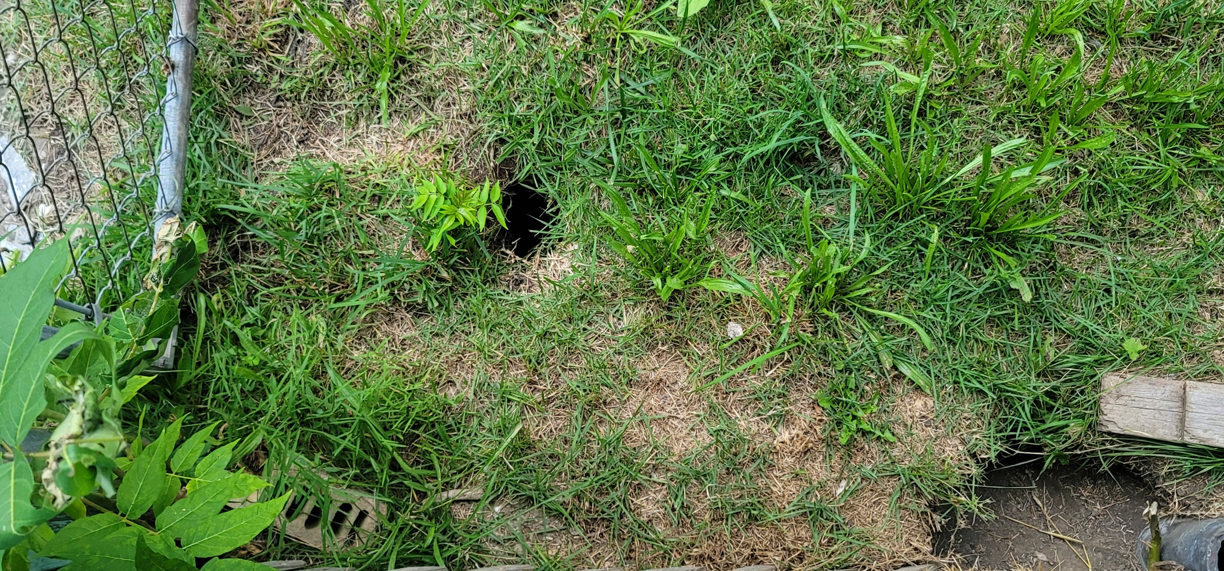 20220708_203035.jpg