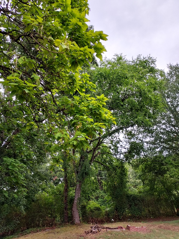 20220809_172055.jpg