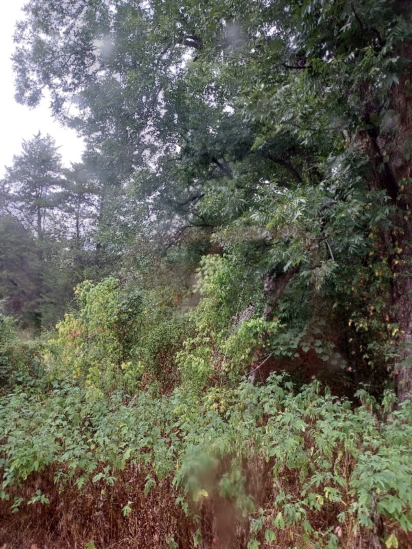 20220809_172426.jpg