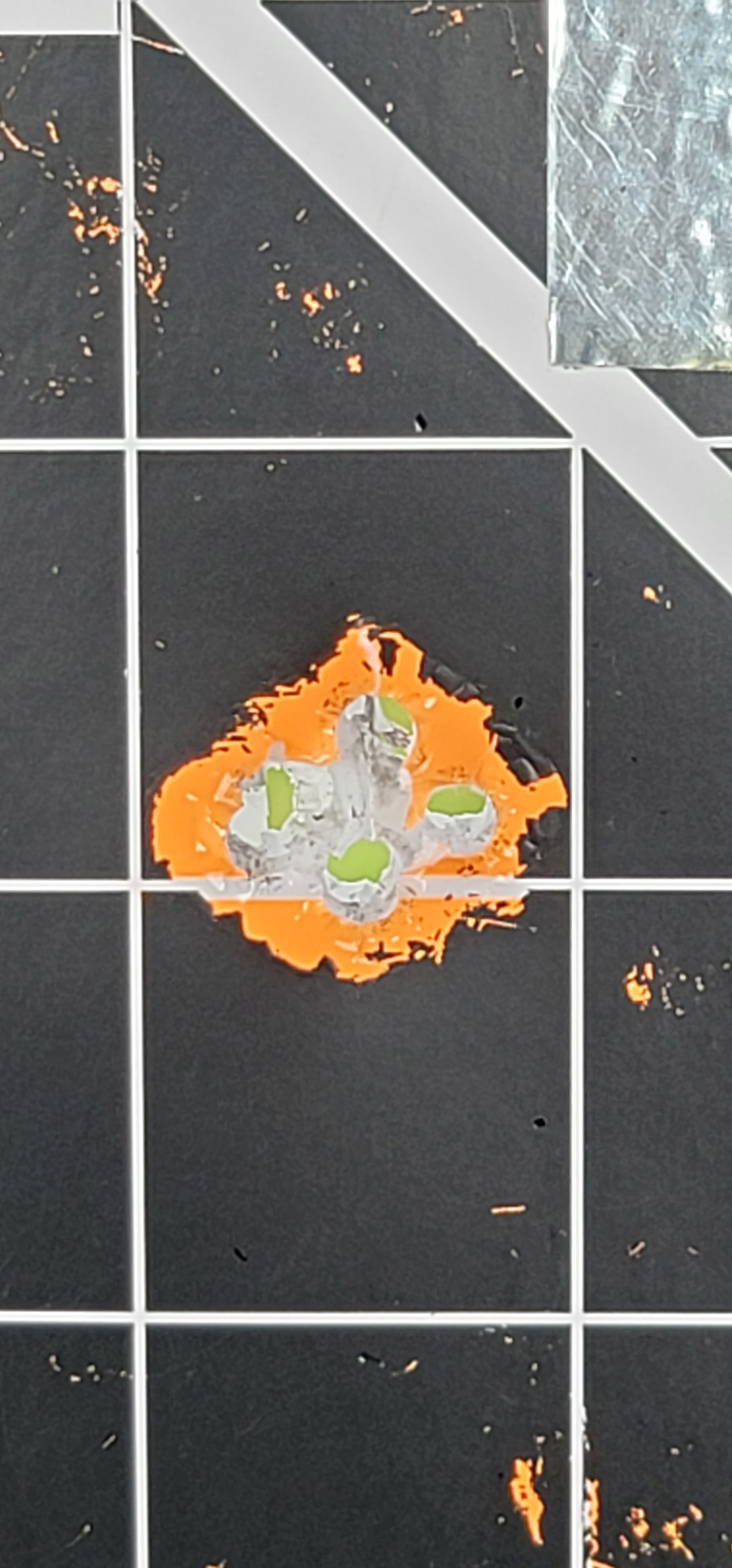 20220817_161244.jpg