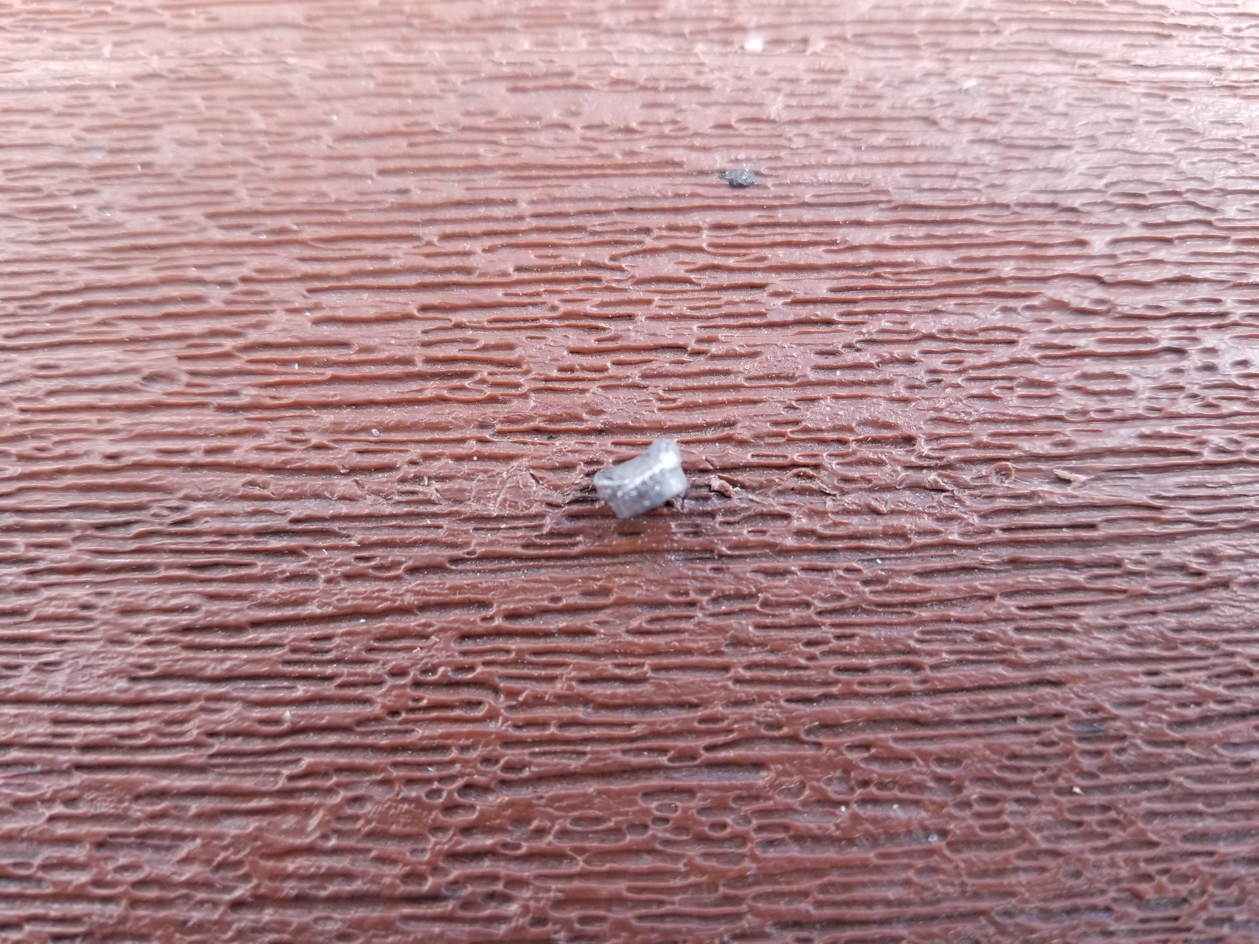 20220818_171928.jpg