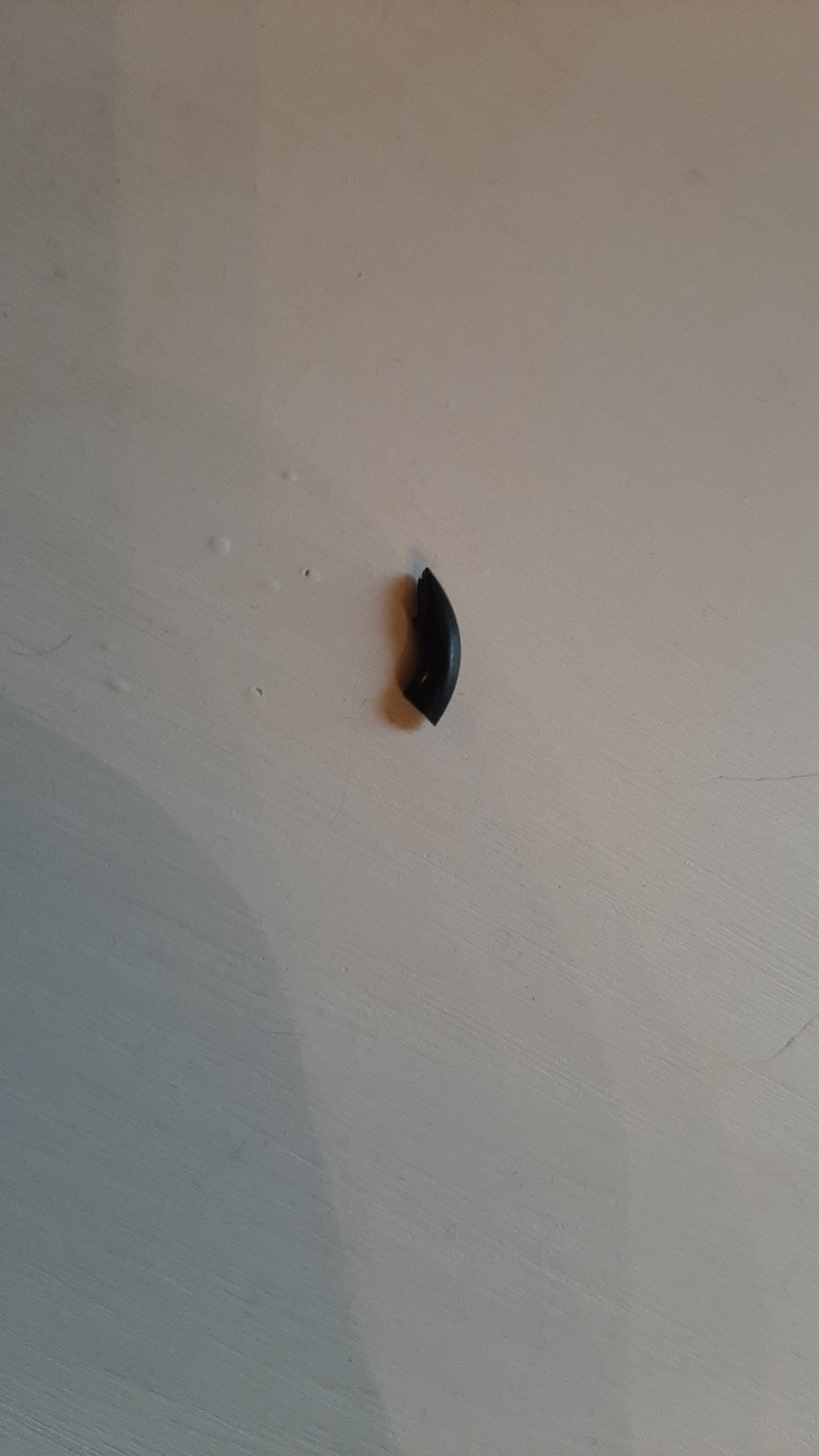 20220913_093711.jpg
