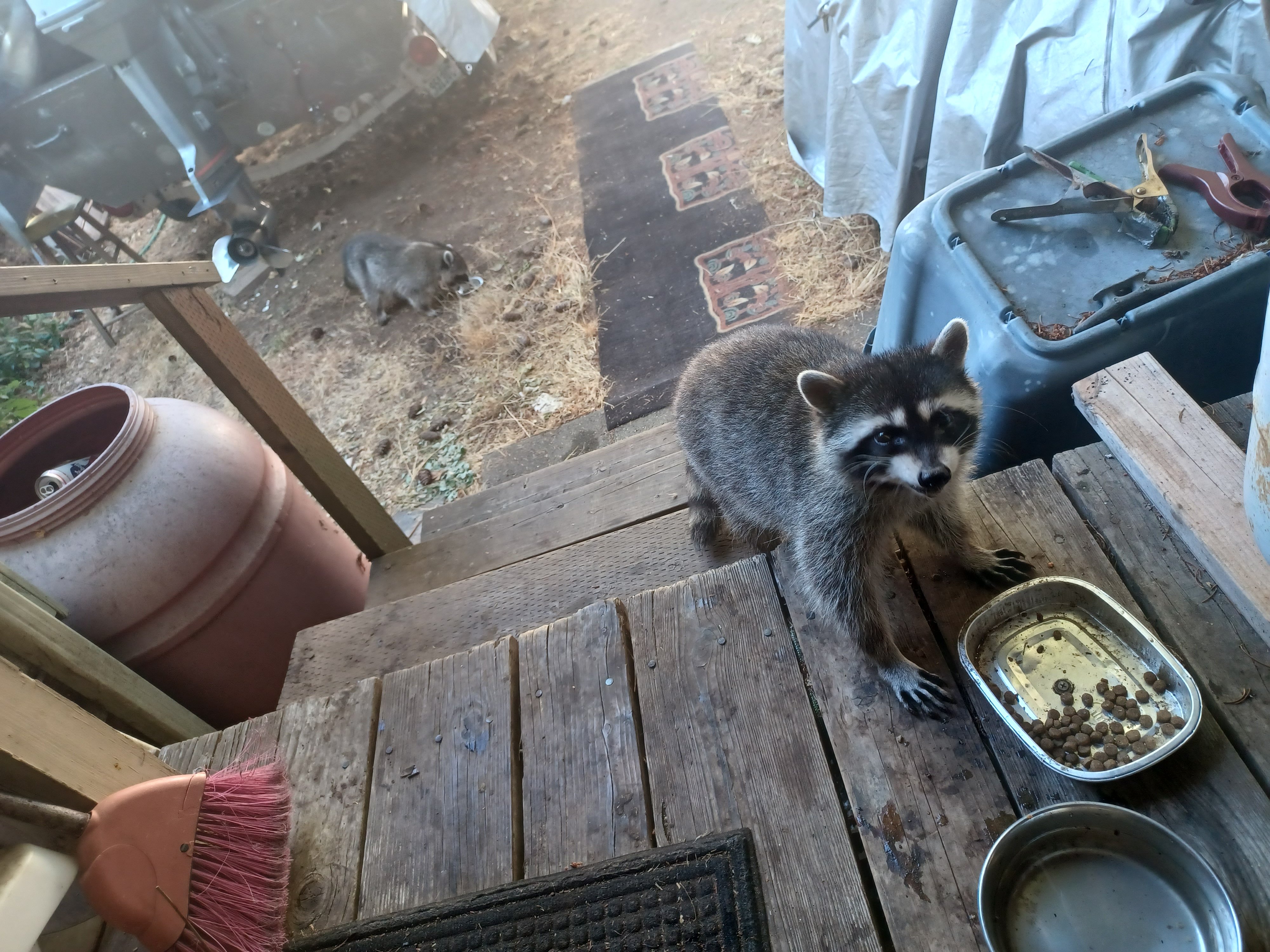 20220926_085820.jpg