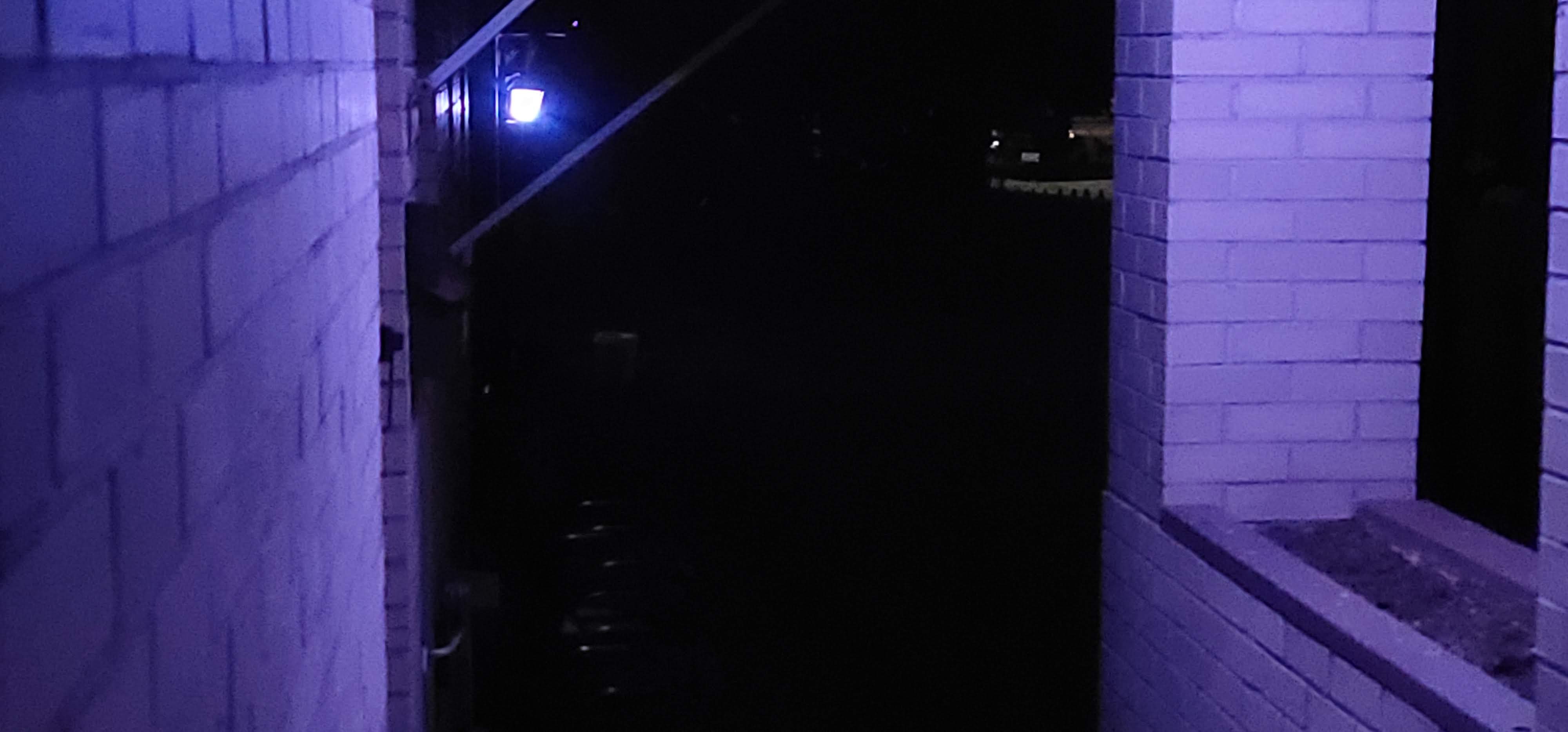 20221008_043030.jpg