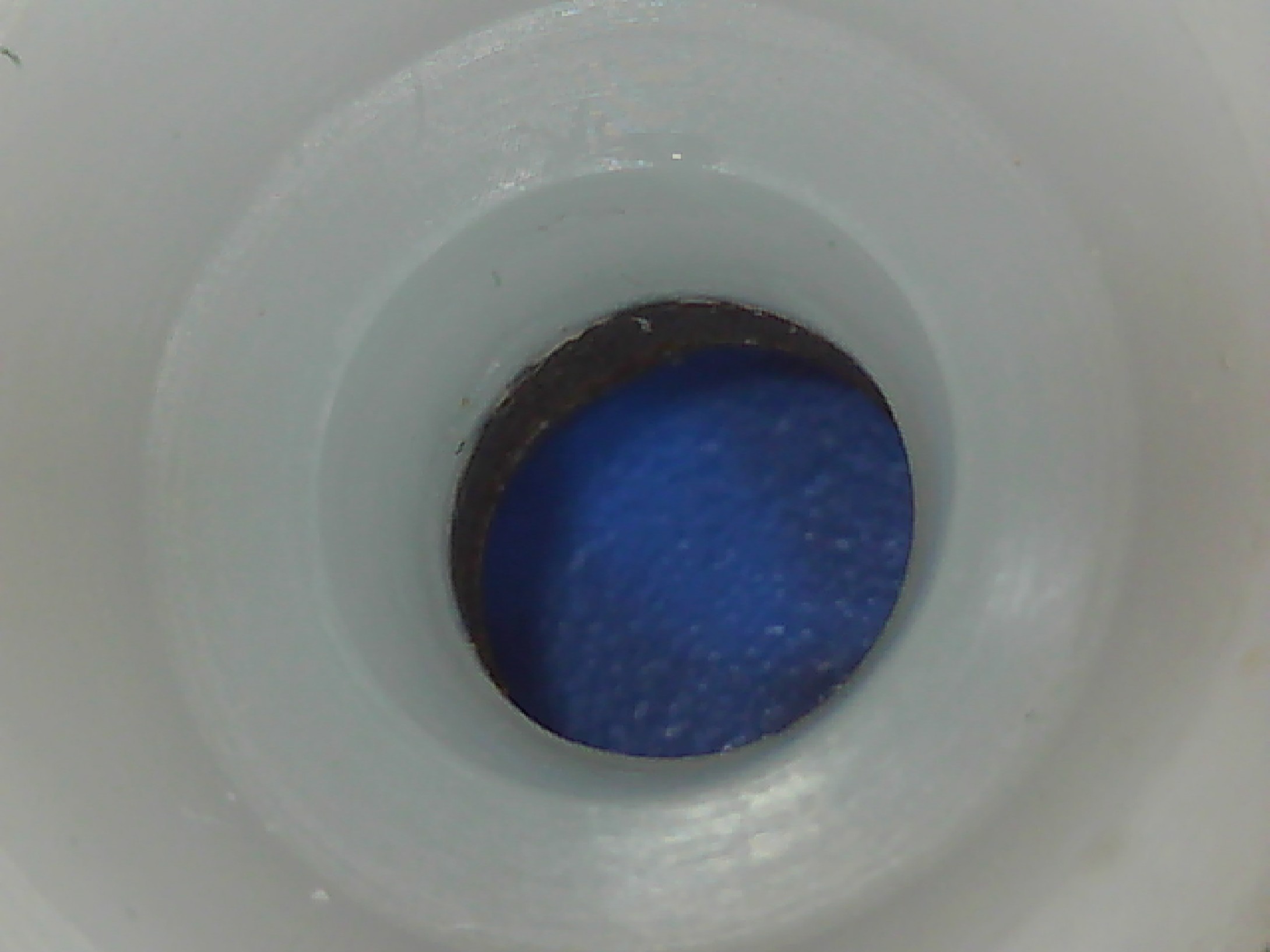 20221014_135139.jpg