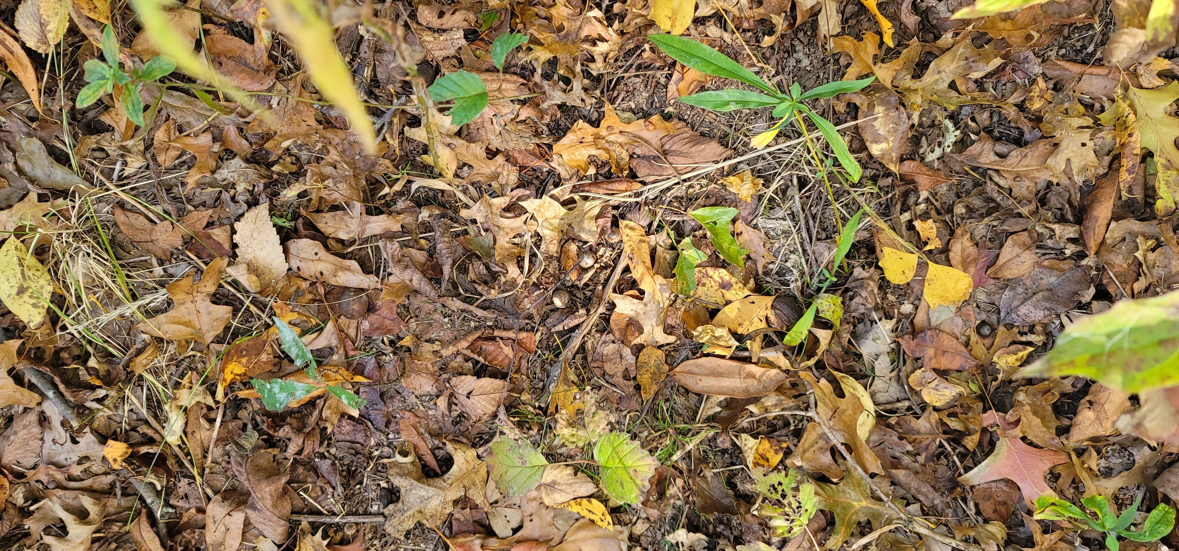 20221015_140635.jpg