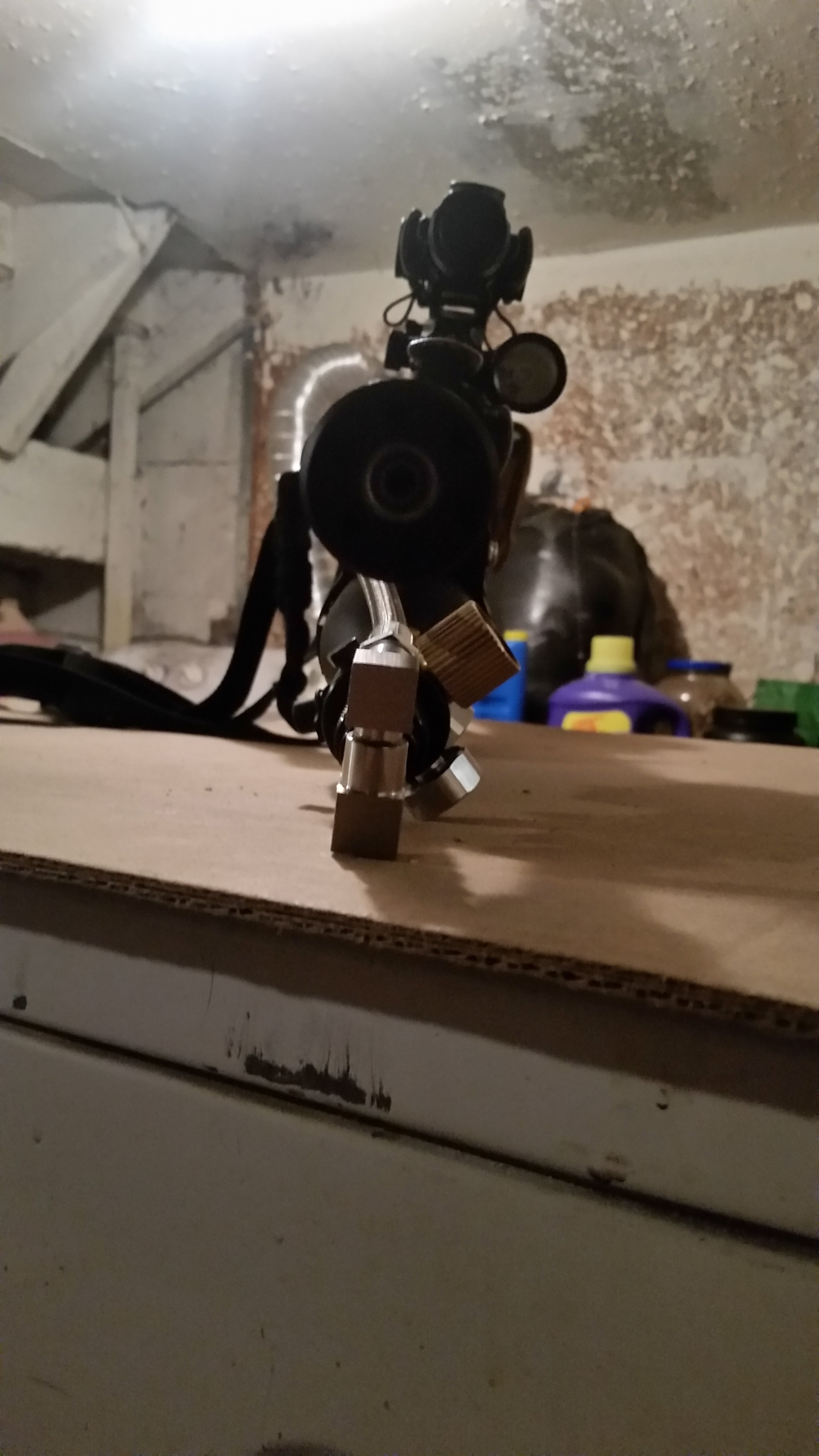 20221026_175650.jpg