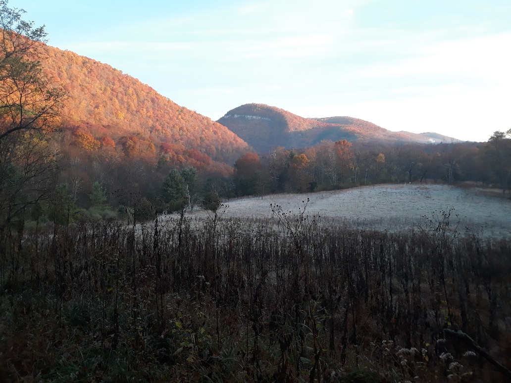 20221028_075516_resized_1.jpg