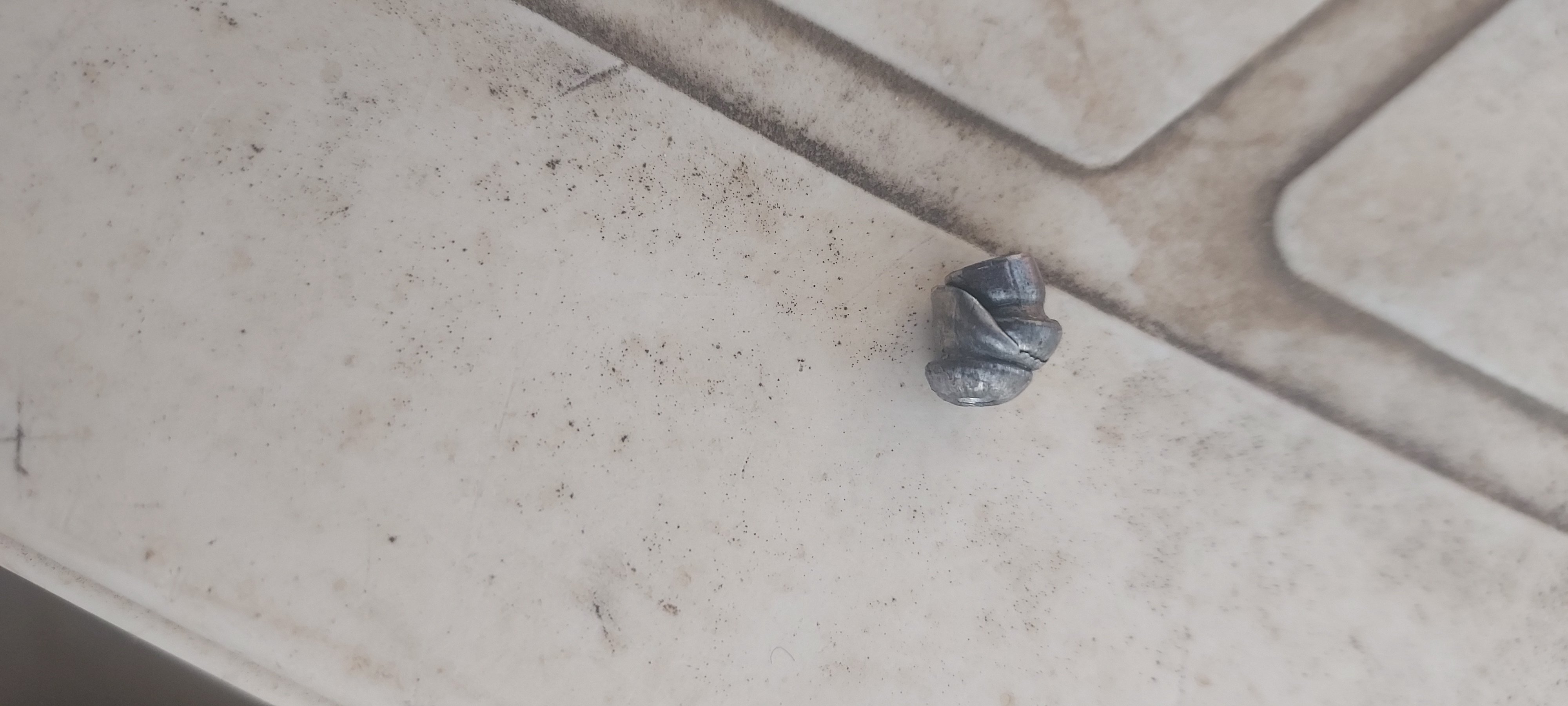 20221103_180719.jpg