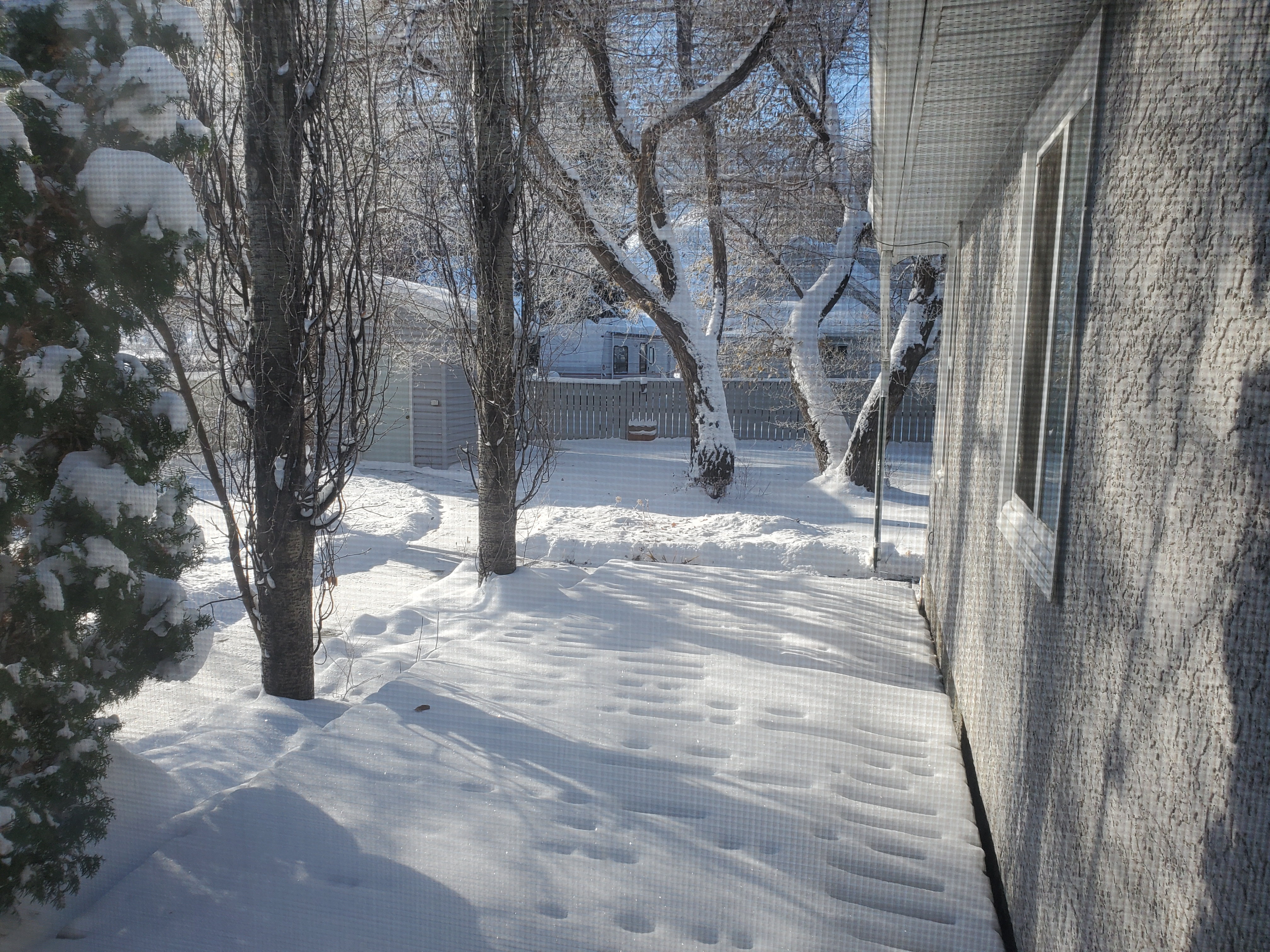 20221109_105453.jpg