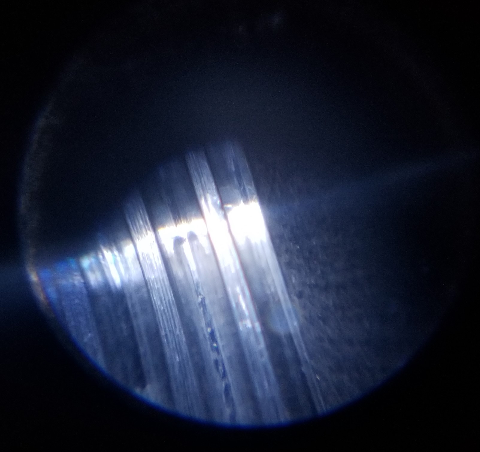 20221110_154443.jpg