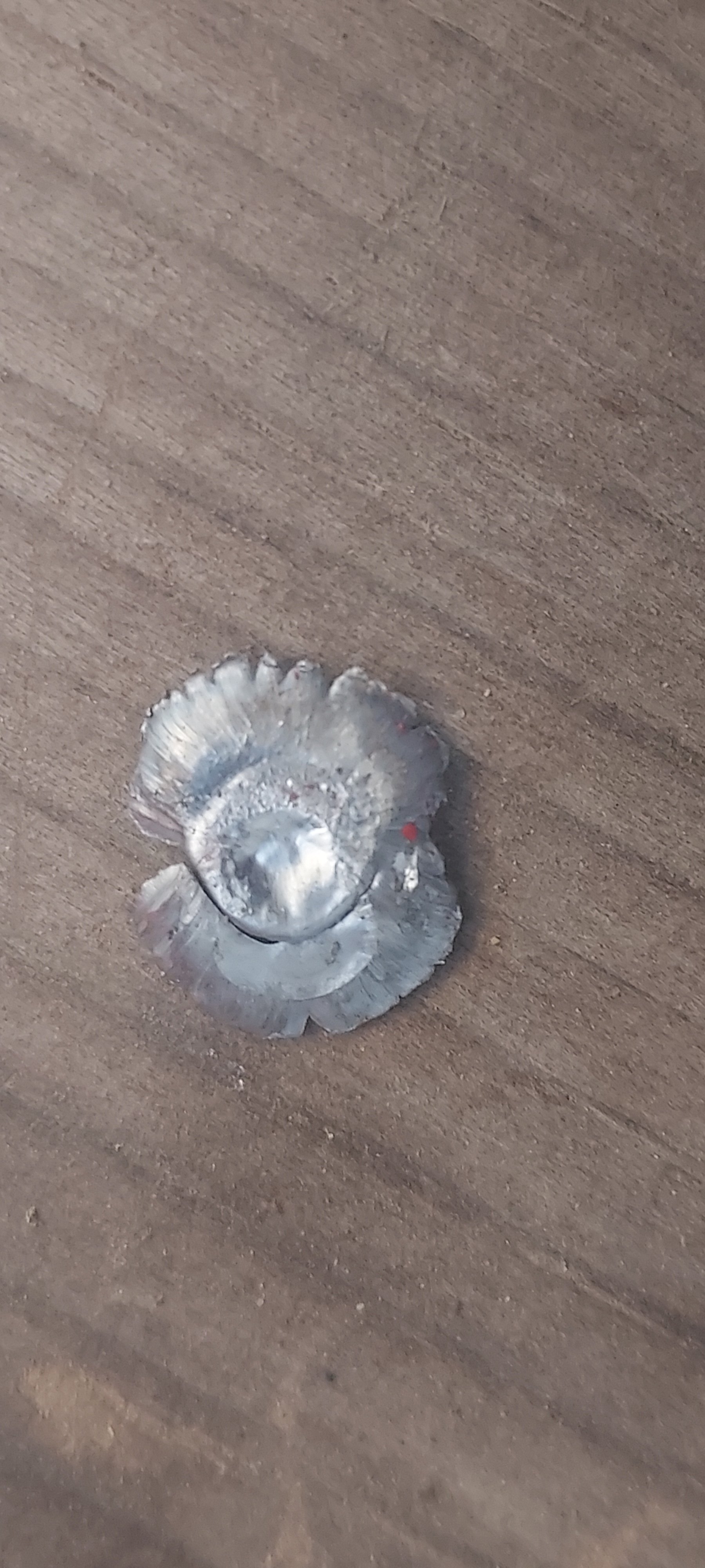 20221113_165036.jpg