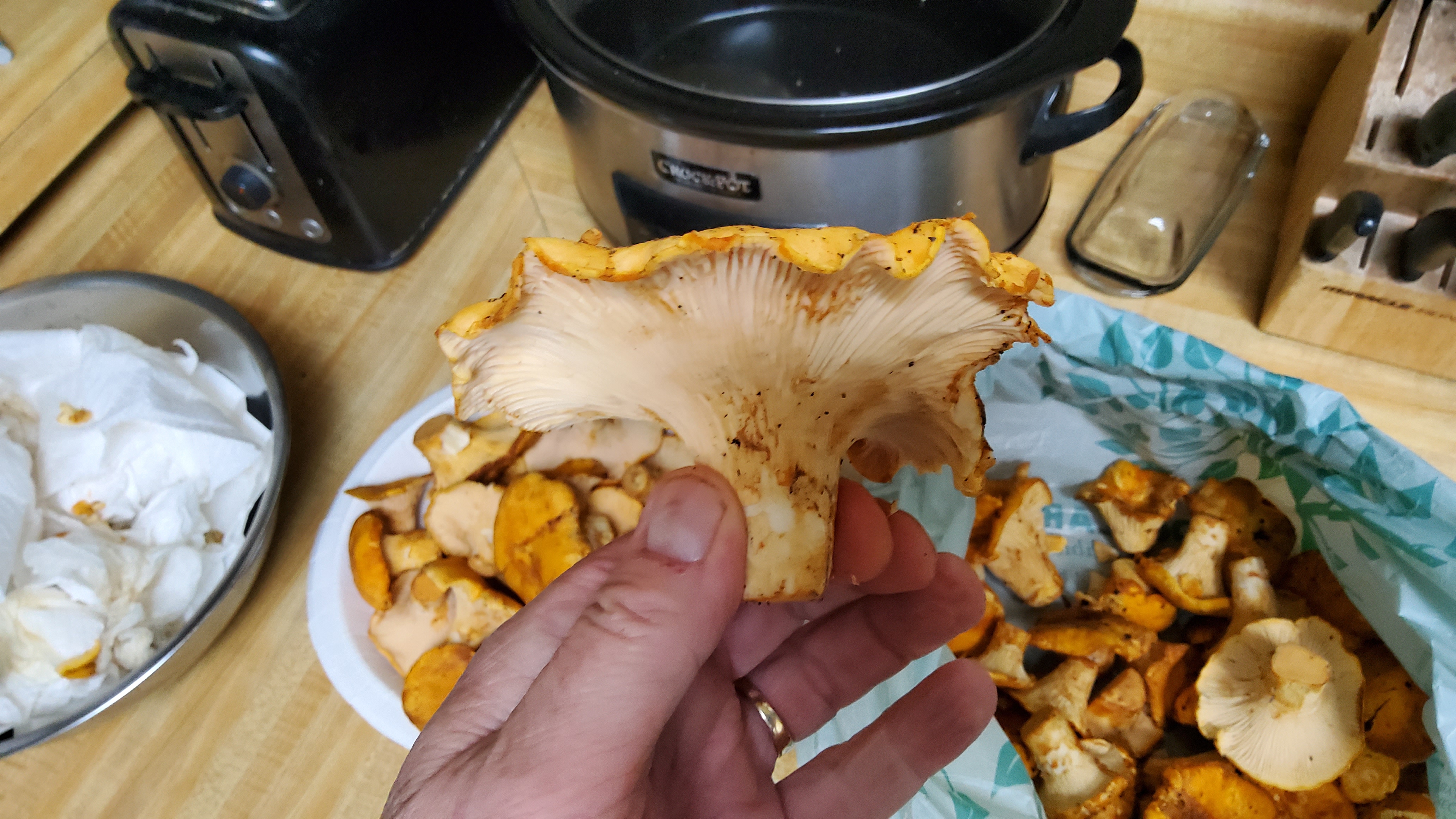 20221208_151730.jpg