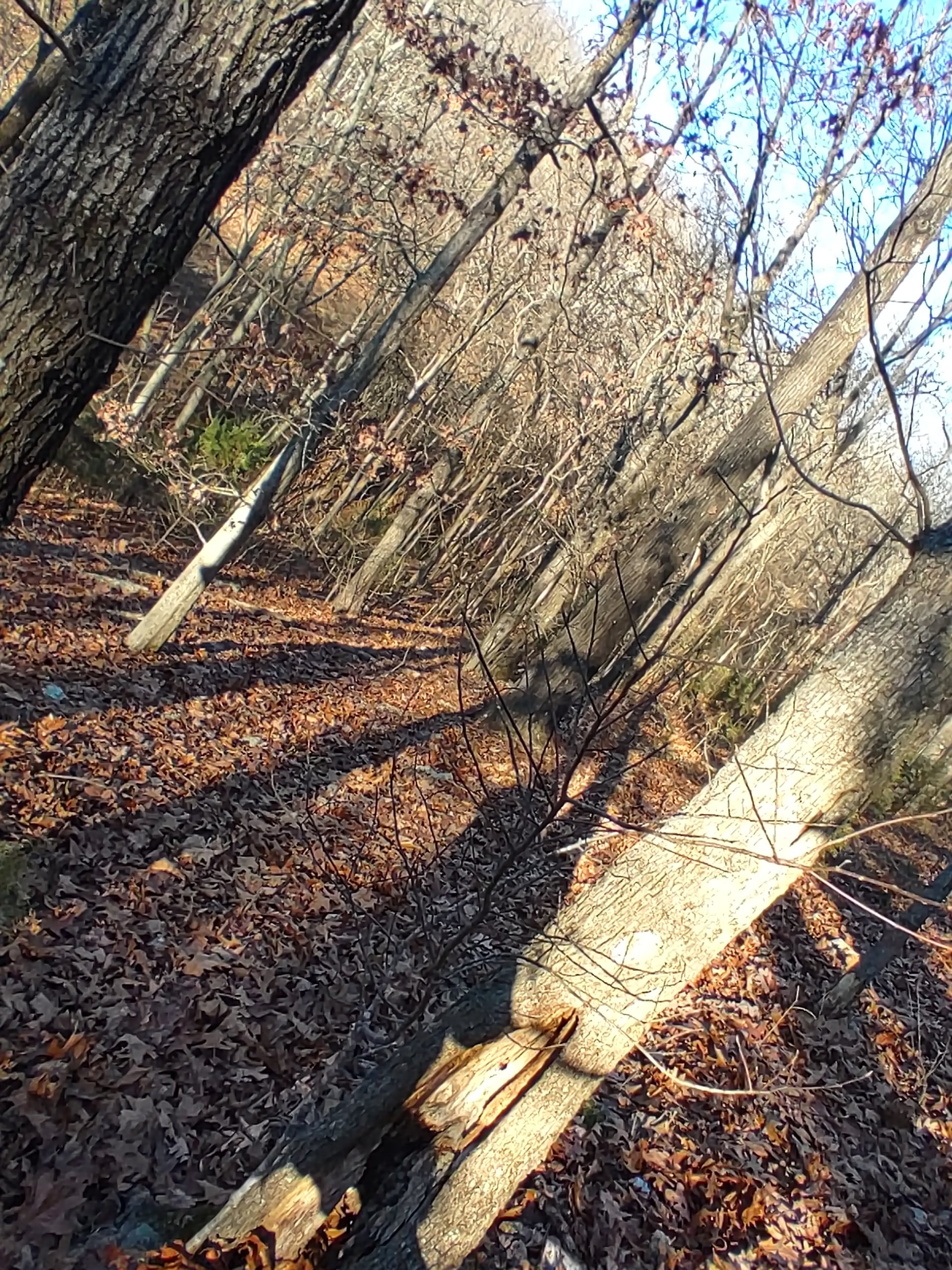 20221228_085820_HDR.jpg