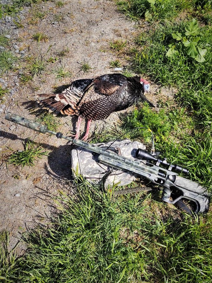 2022turkey.1648753573.jpg