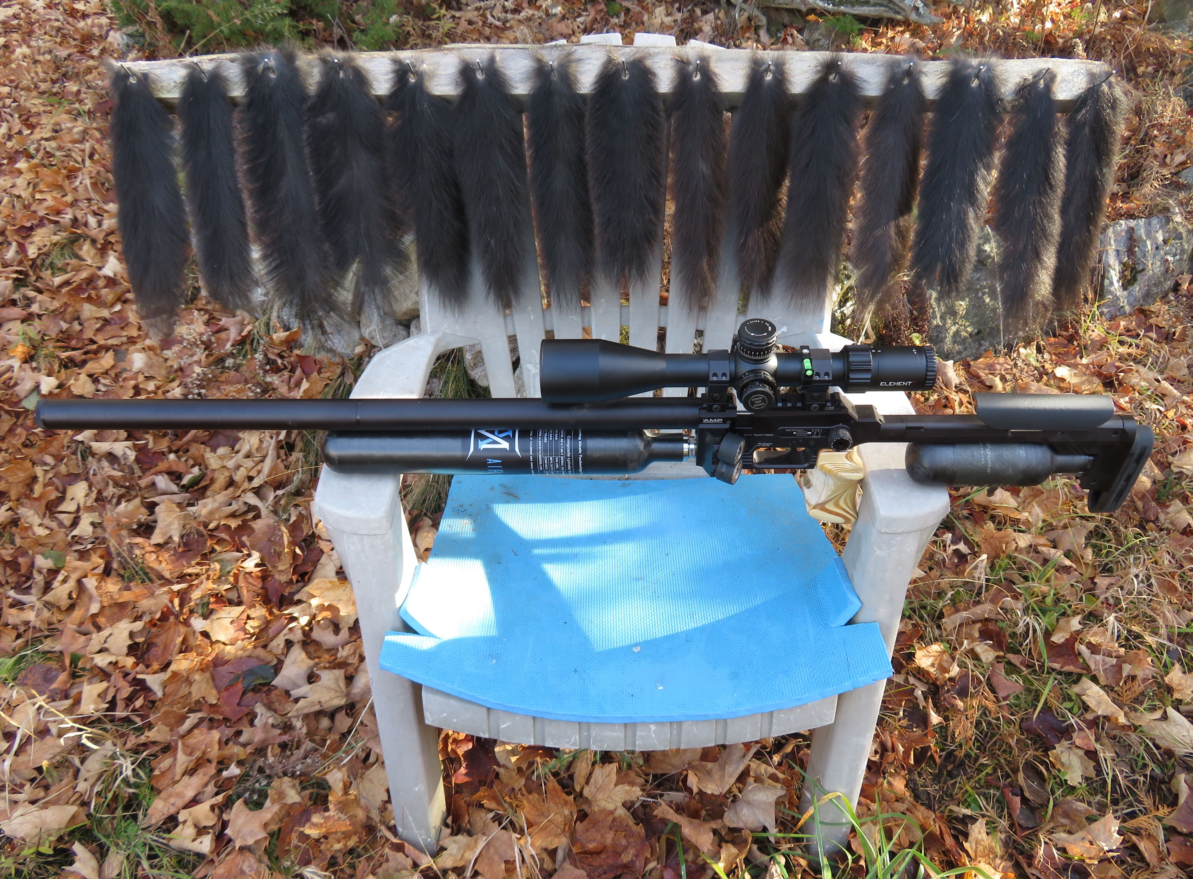2023 Squirrel Season.JPG