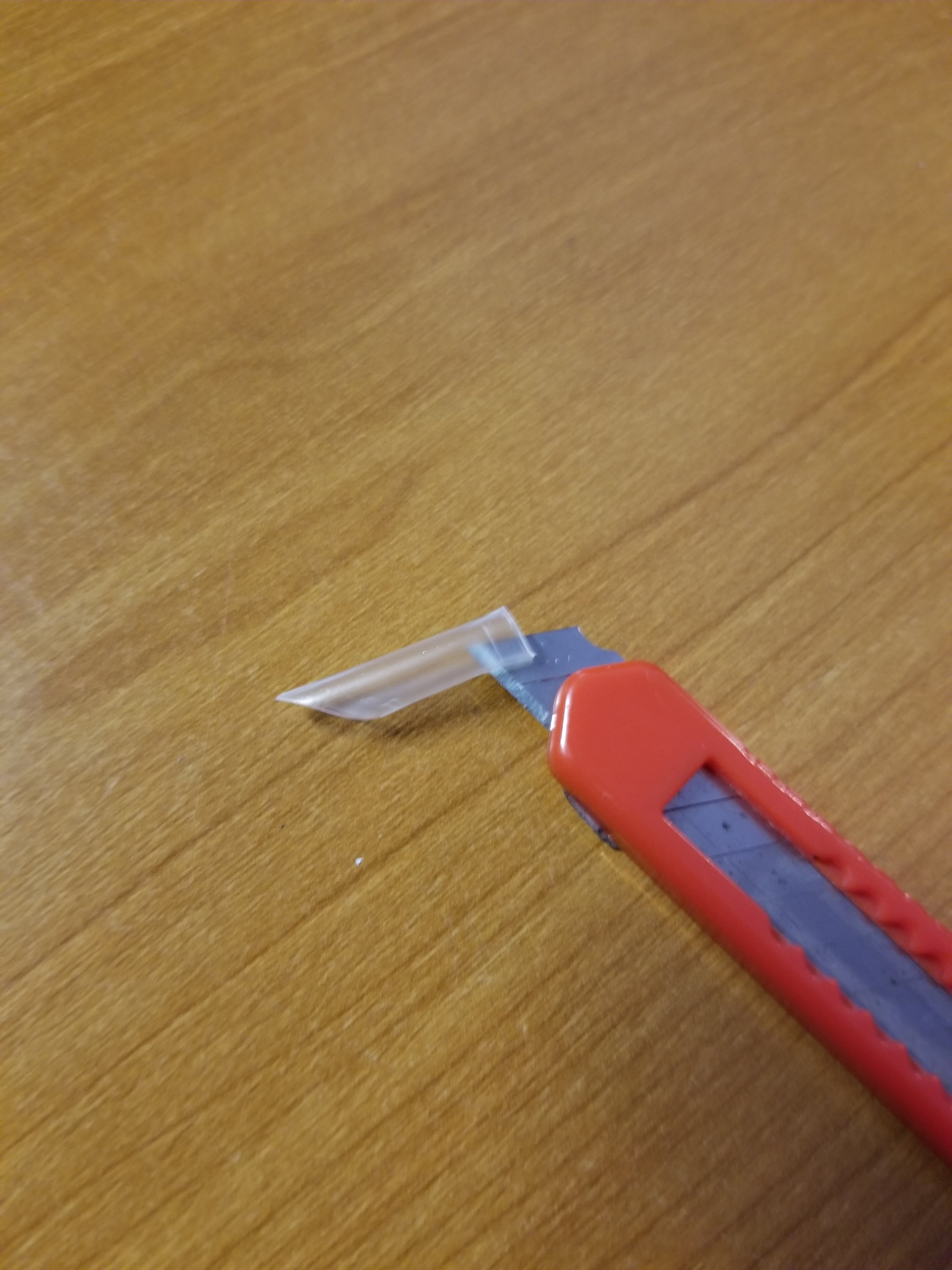 20230209_133111.jpg
