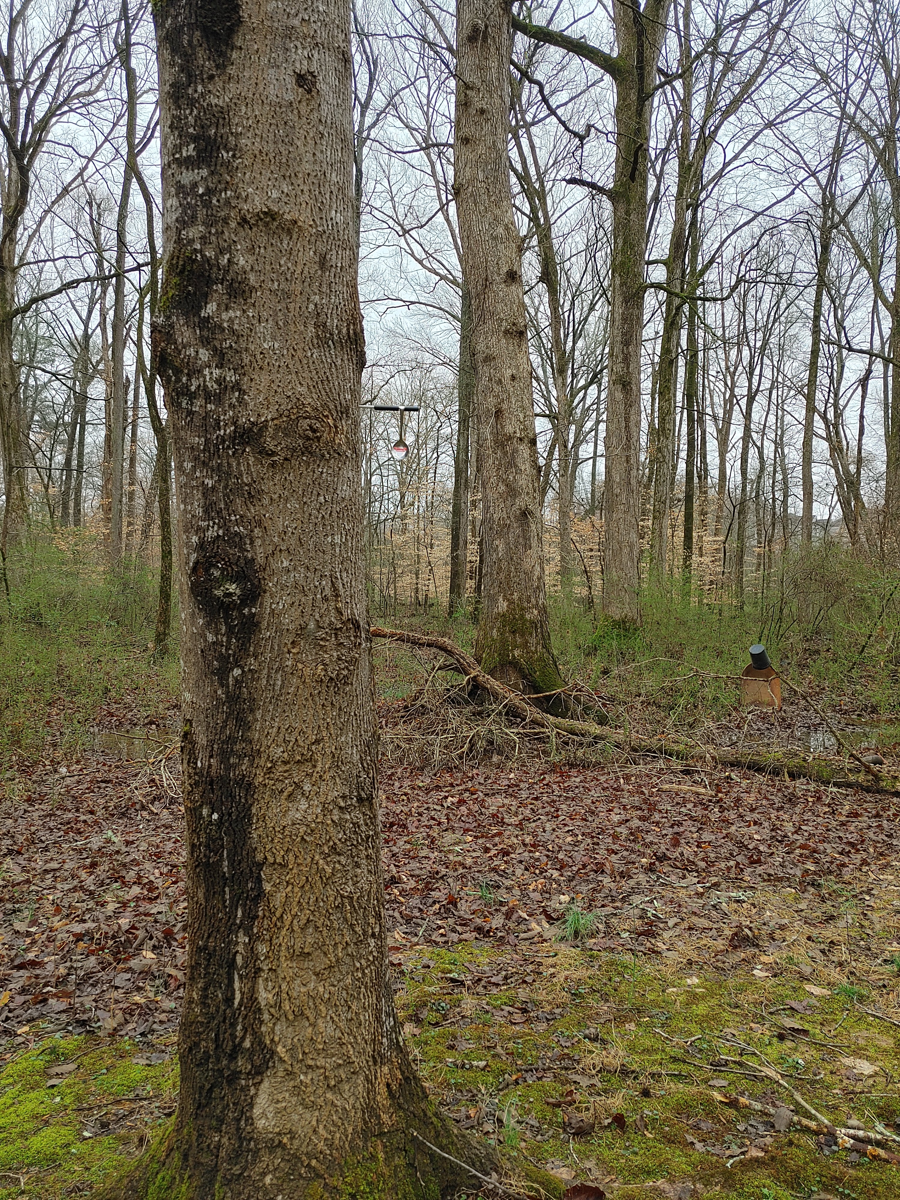 20230225_135136_HDR.jpg