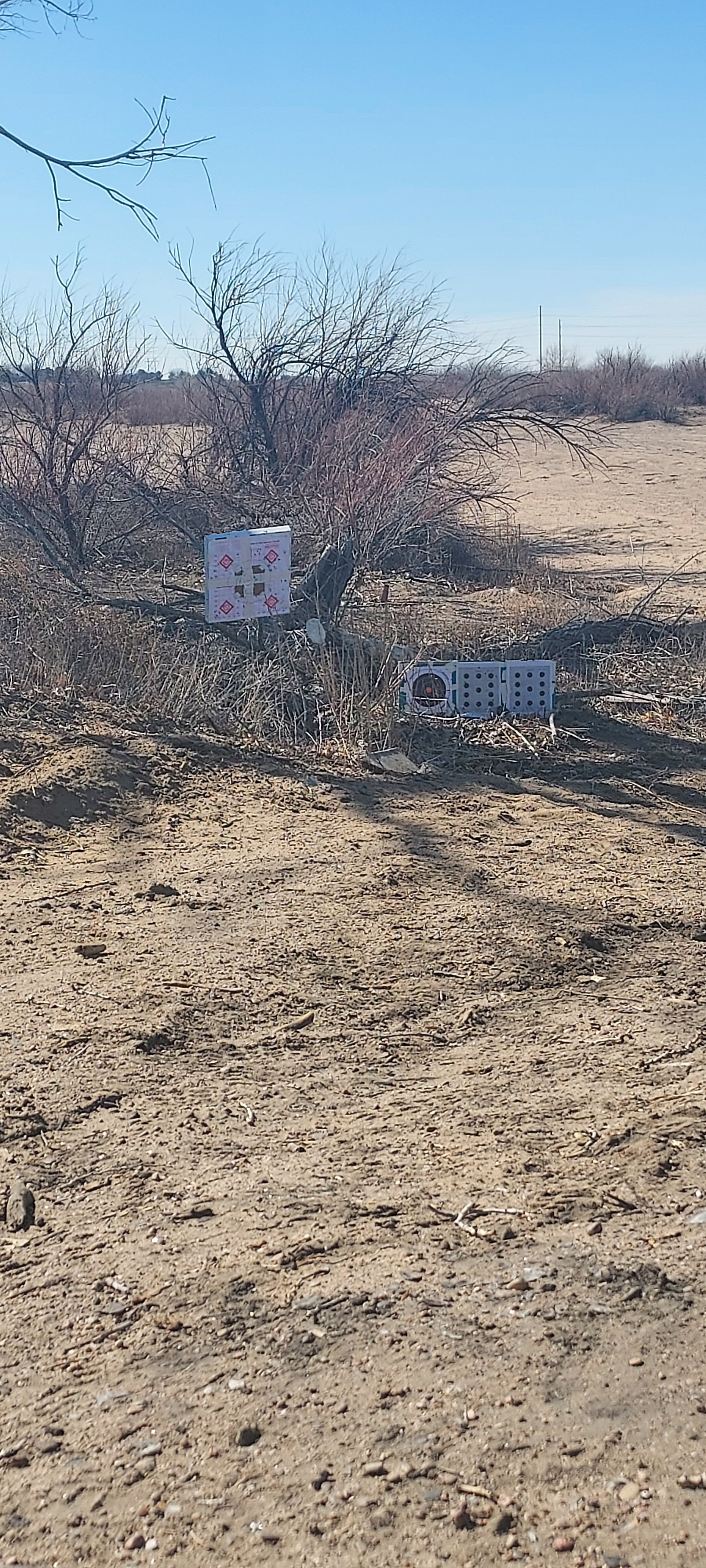 20230303_142959.jpg