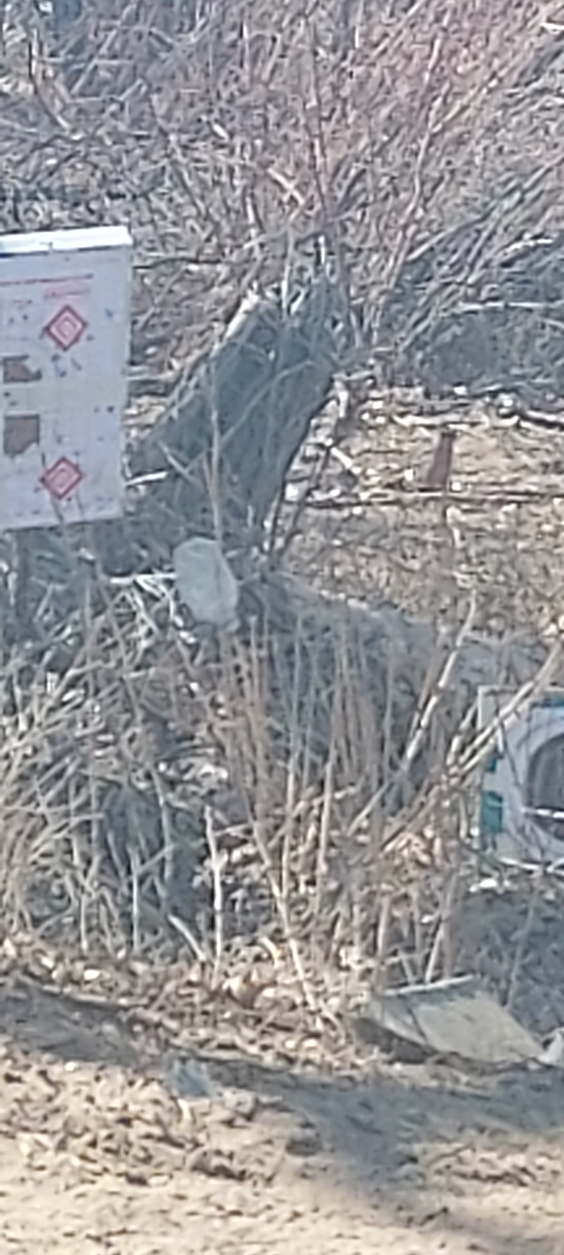 20230303_143007.jpg