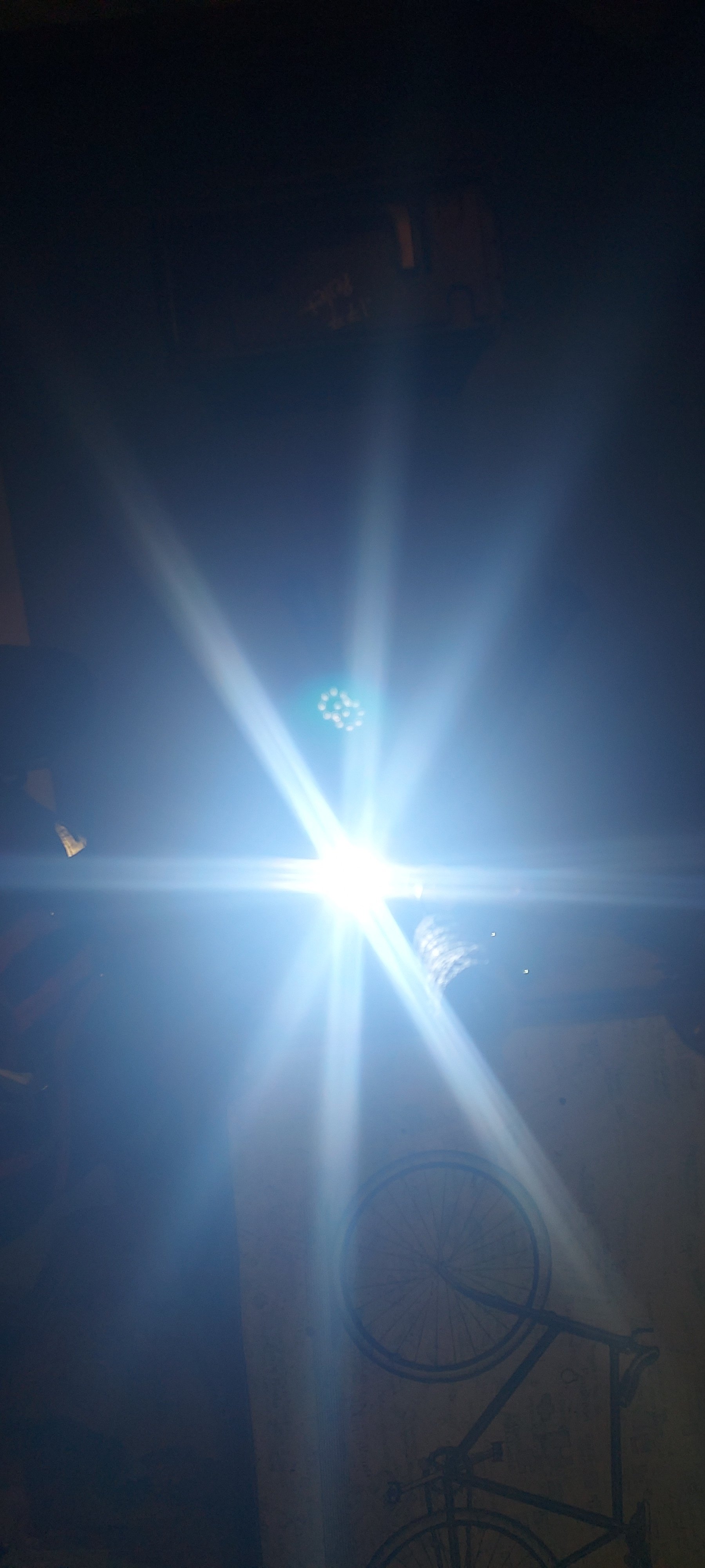 20230310_104724.jpg