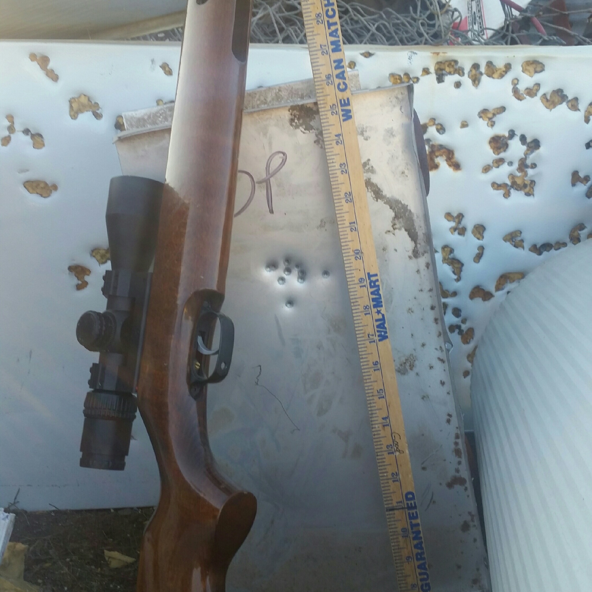 20230323_190512-1.jpeg