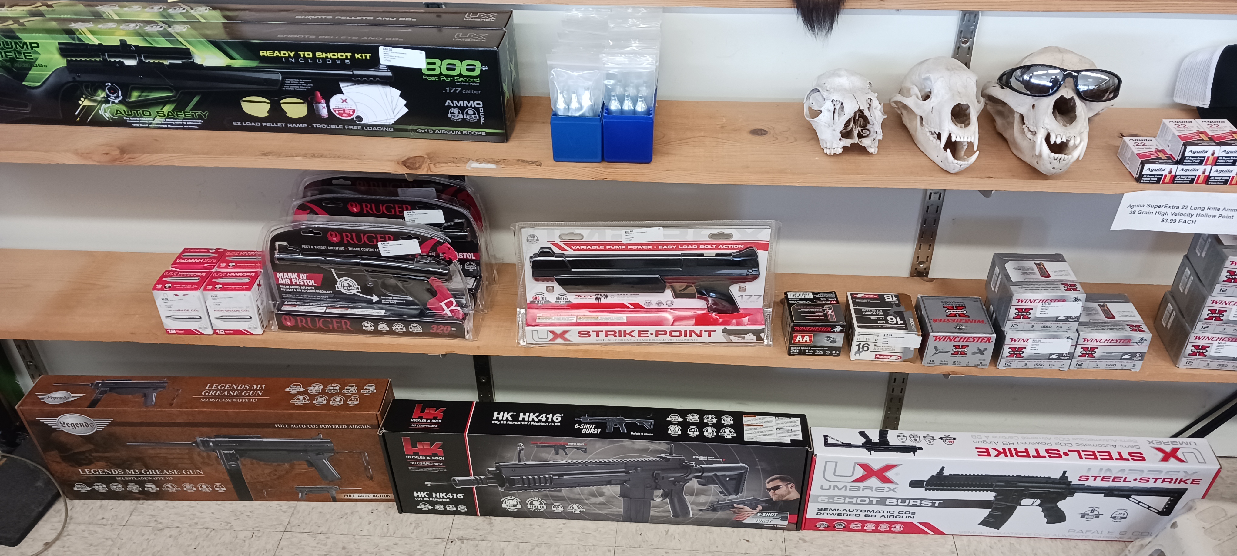20230325_152147.jpg