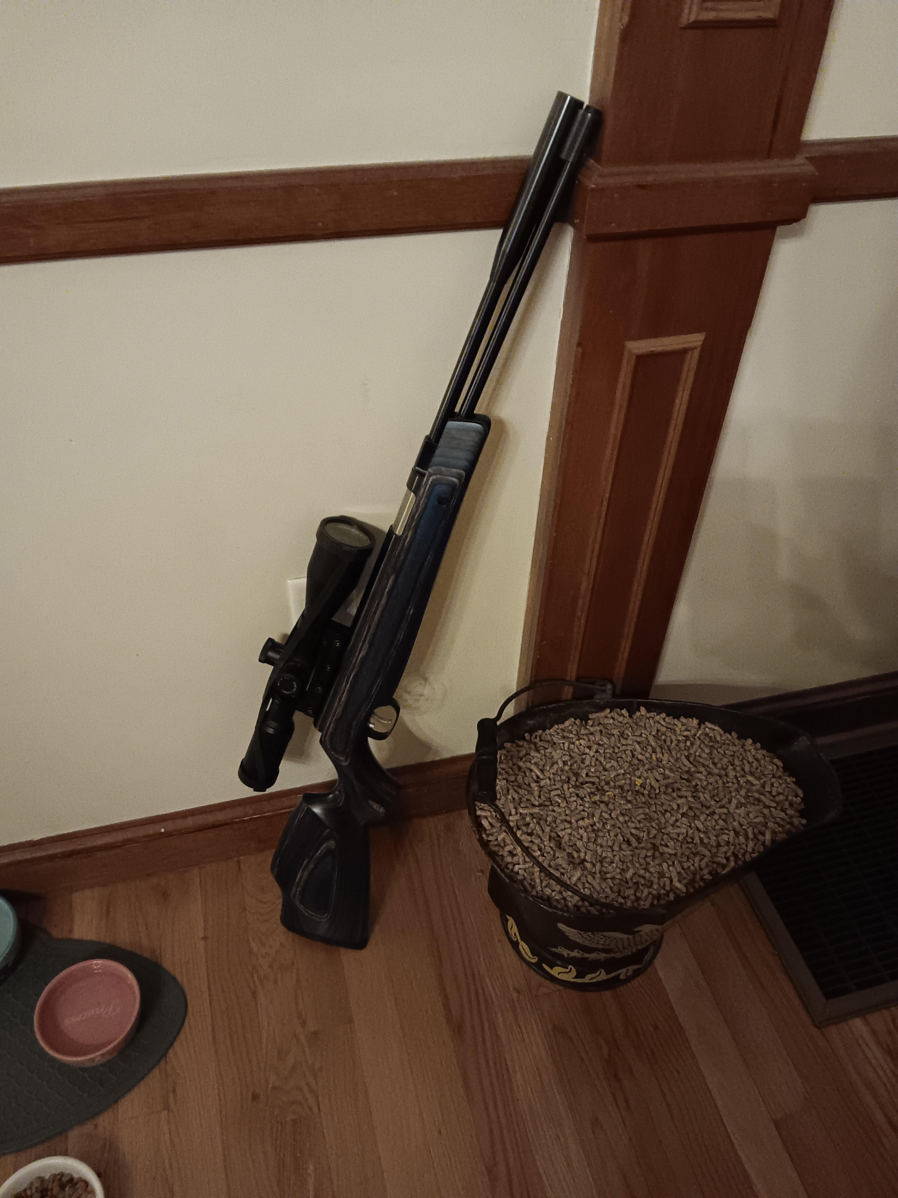 20230325_203143.jpg
