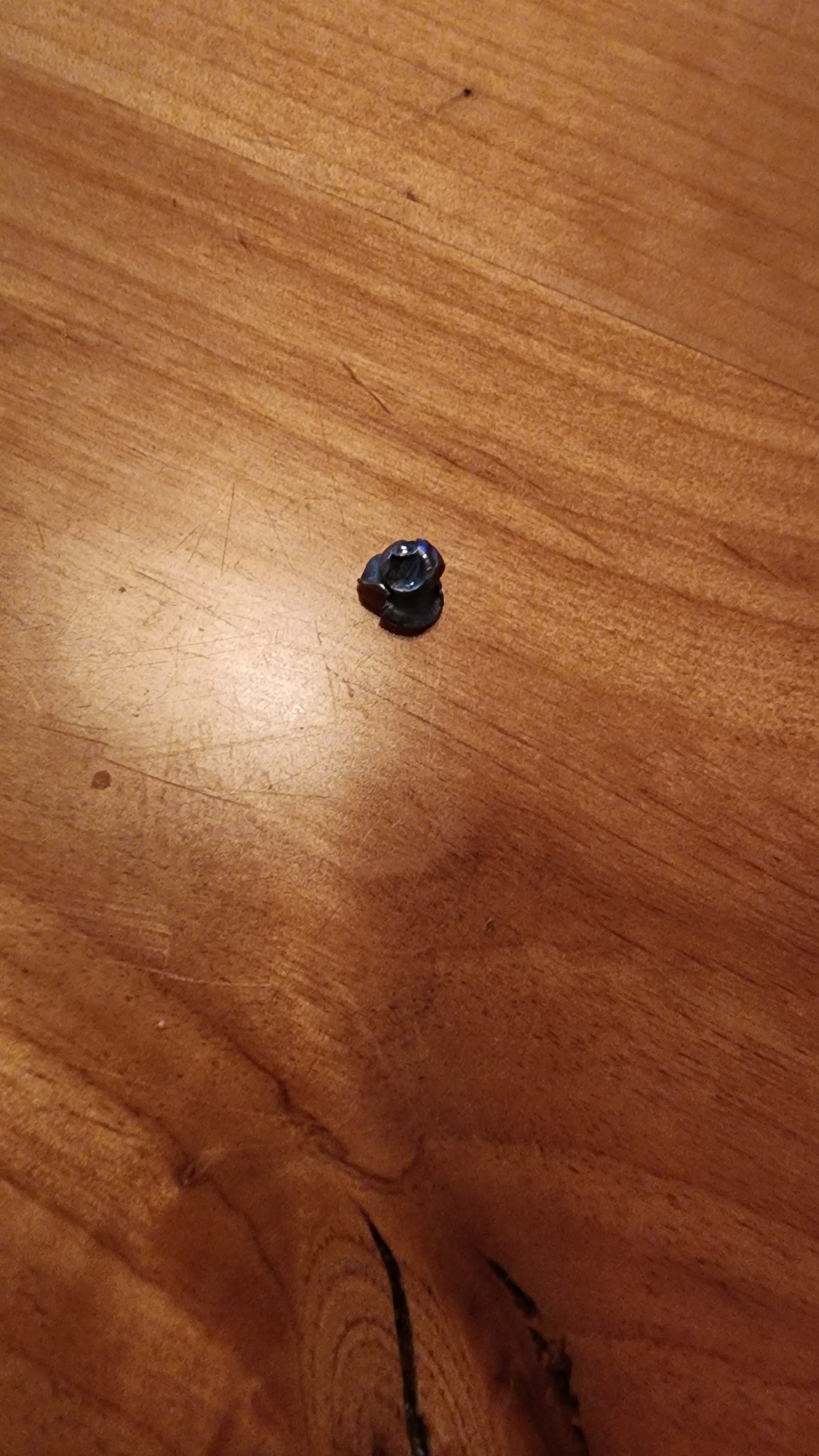 20230325_215707.jpg