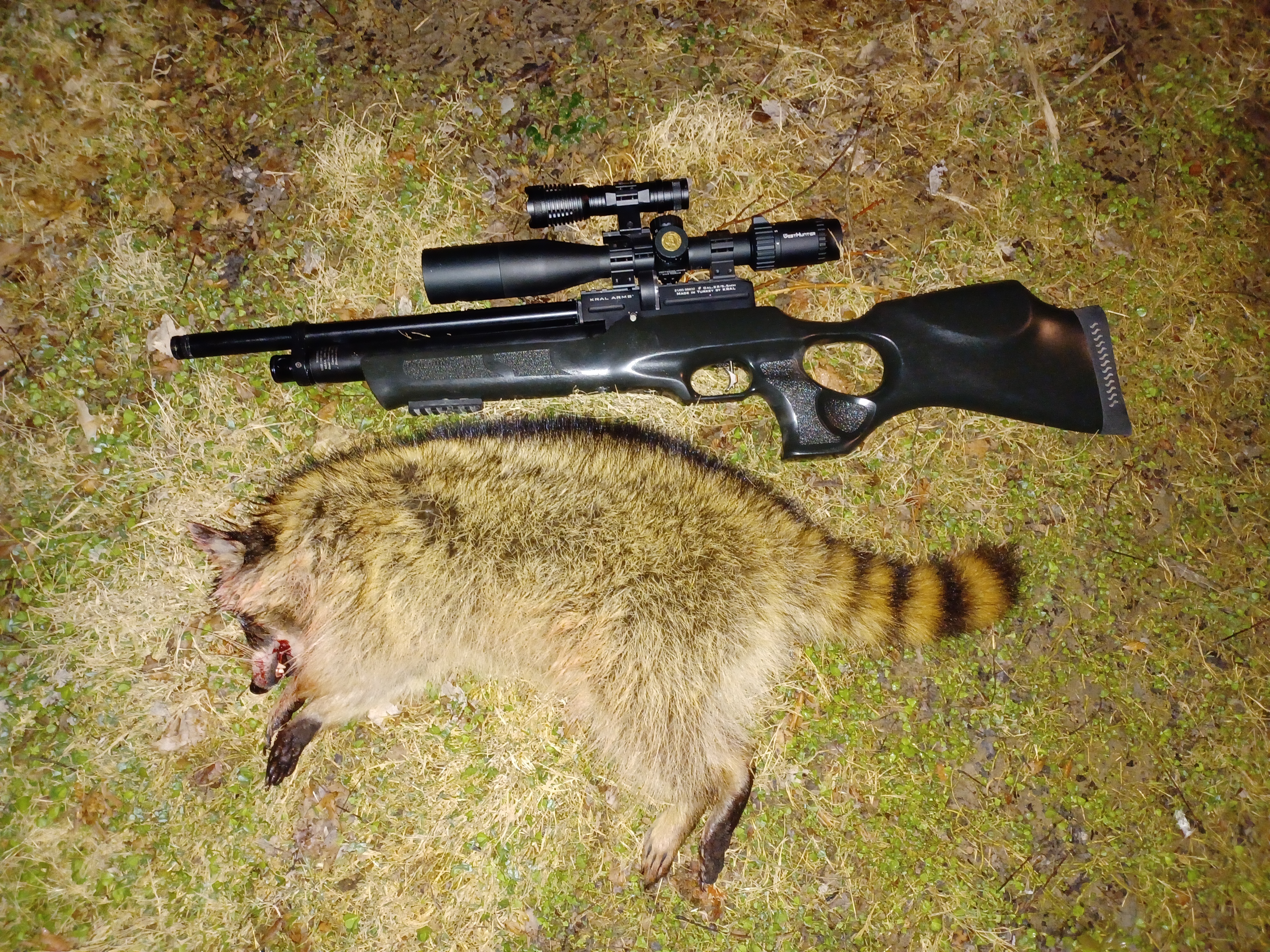 20230325_233447.jpg