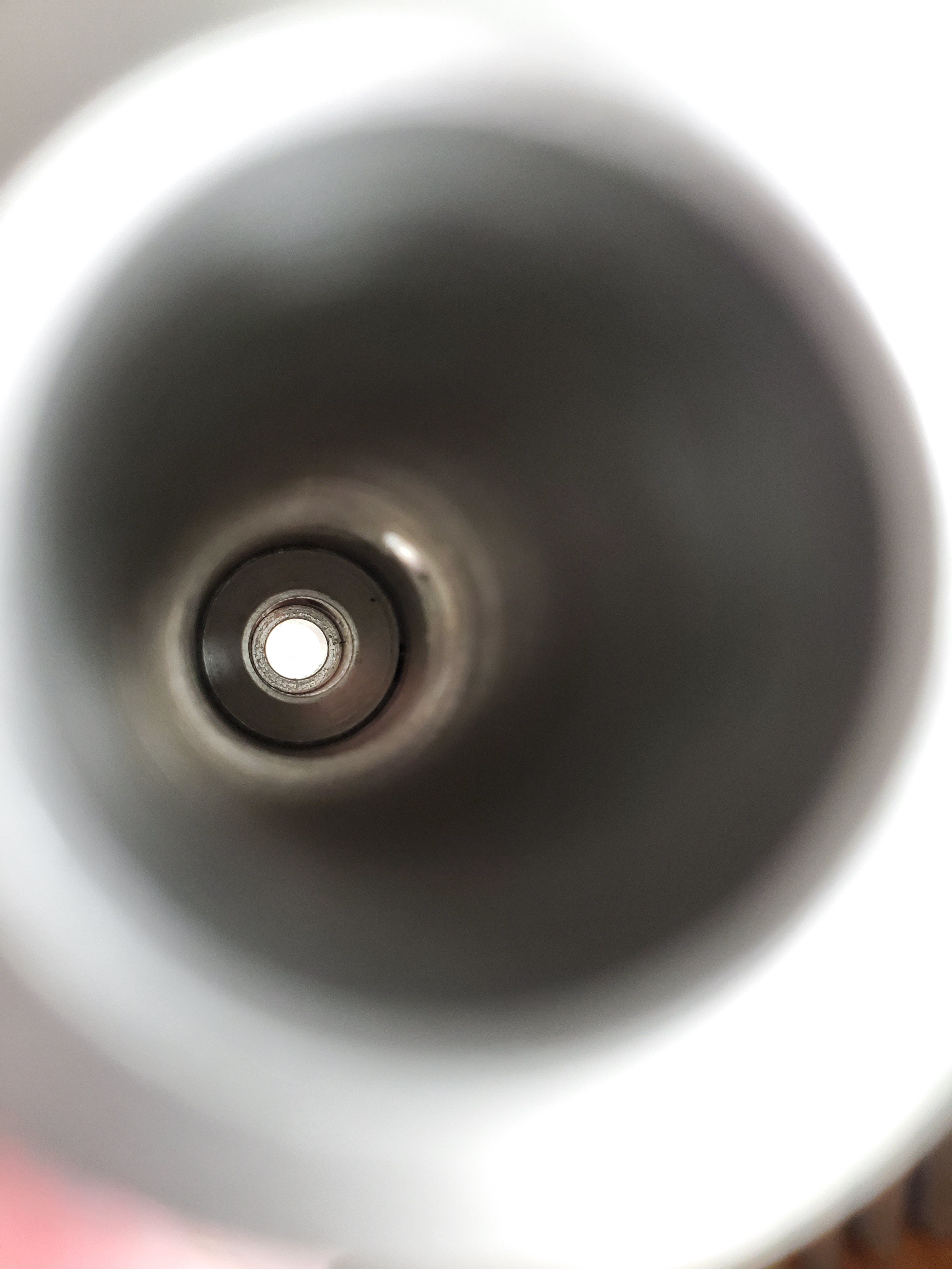 20230413_102659.jpg