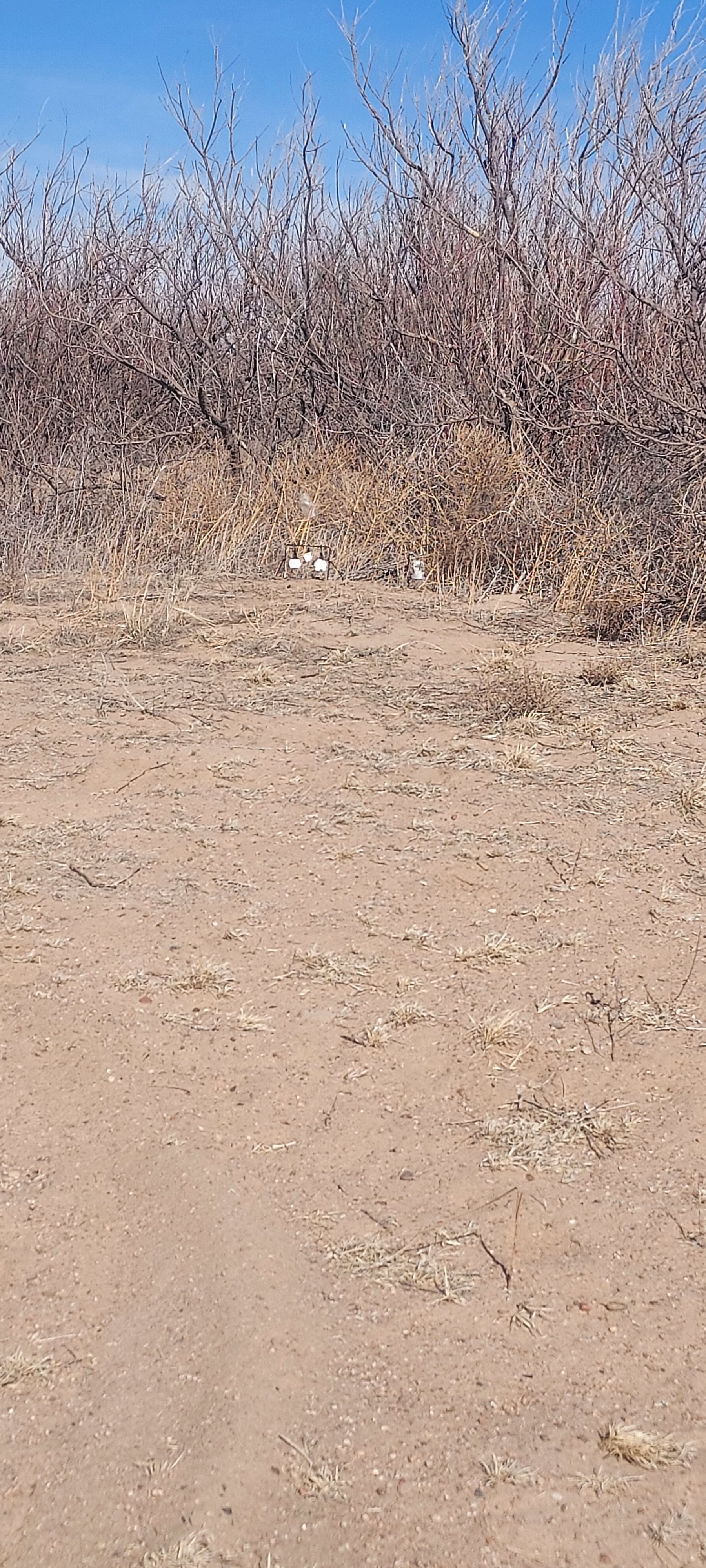 20230418_100500.jpg