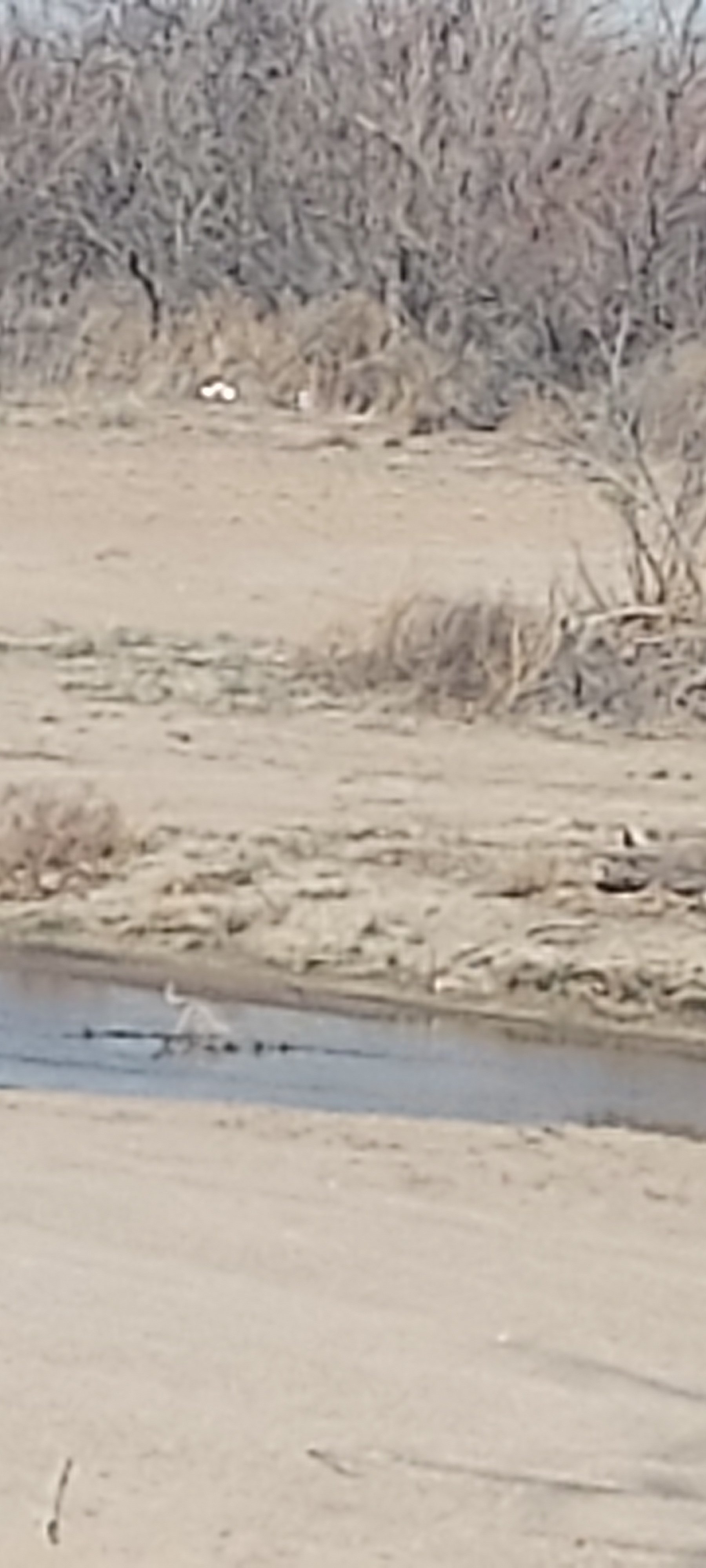 20230418_102109.jpg