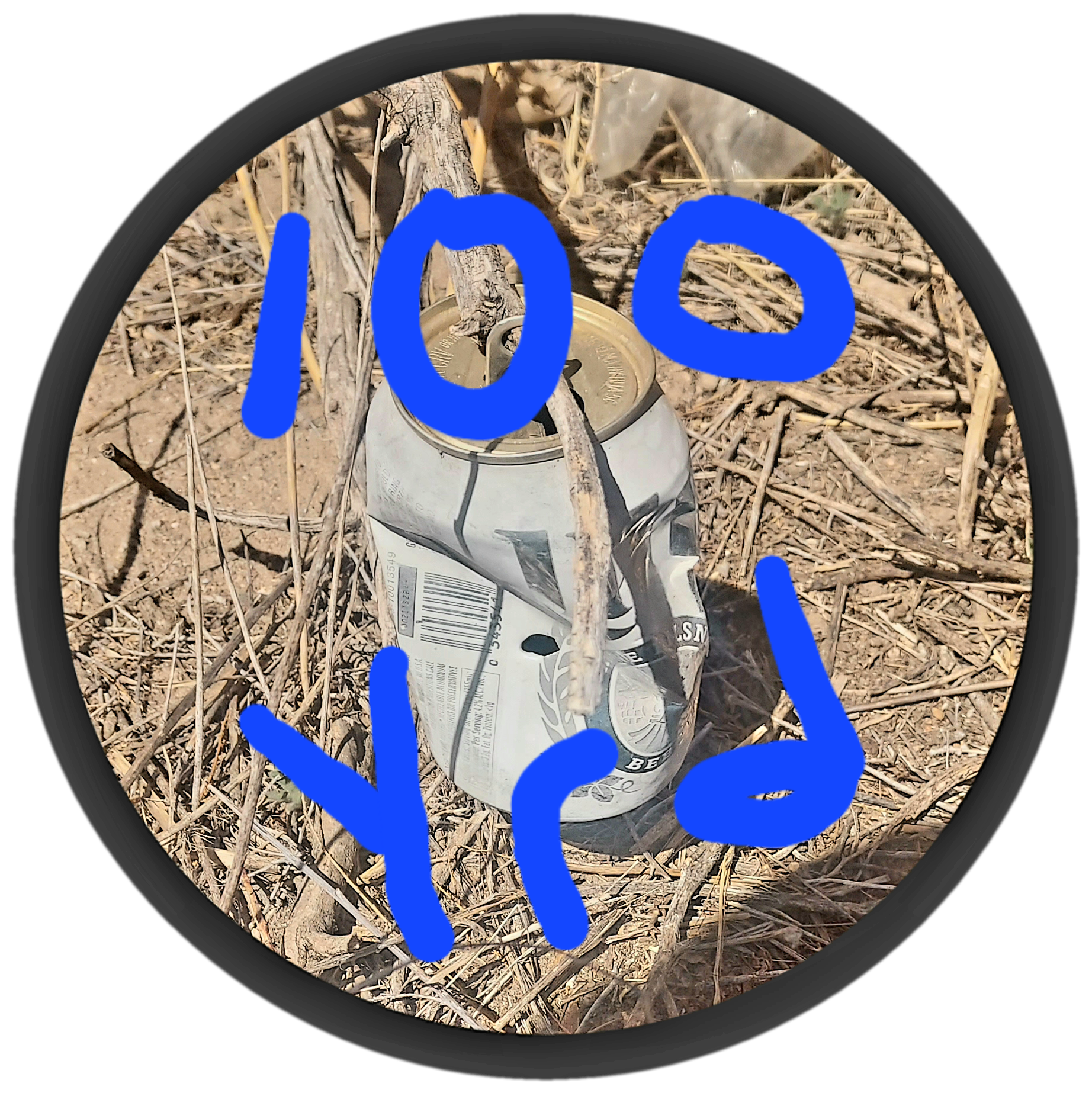 20230418_114747.png
