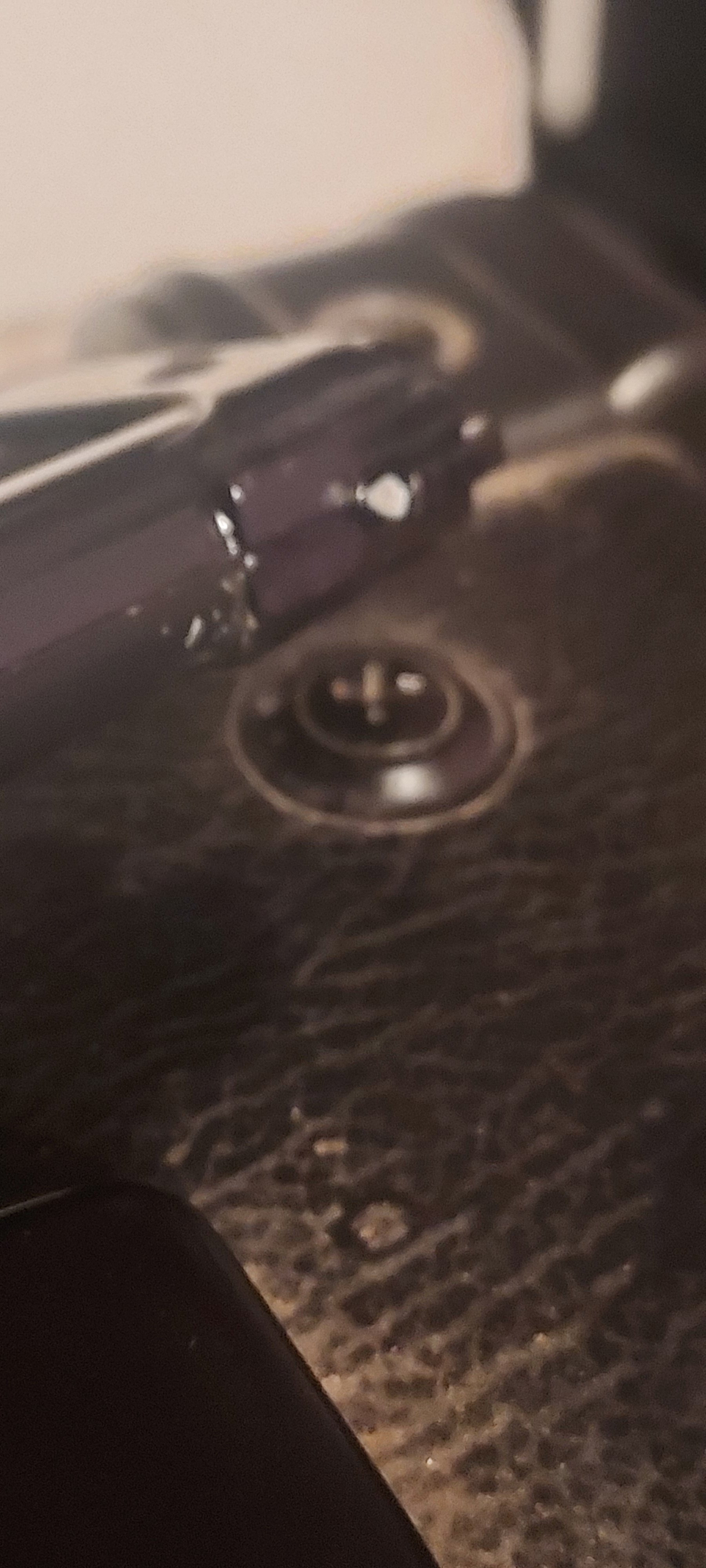 20230424_174505.jpg
