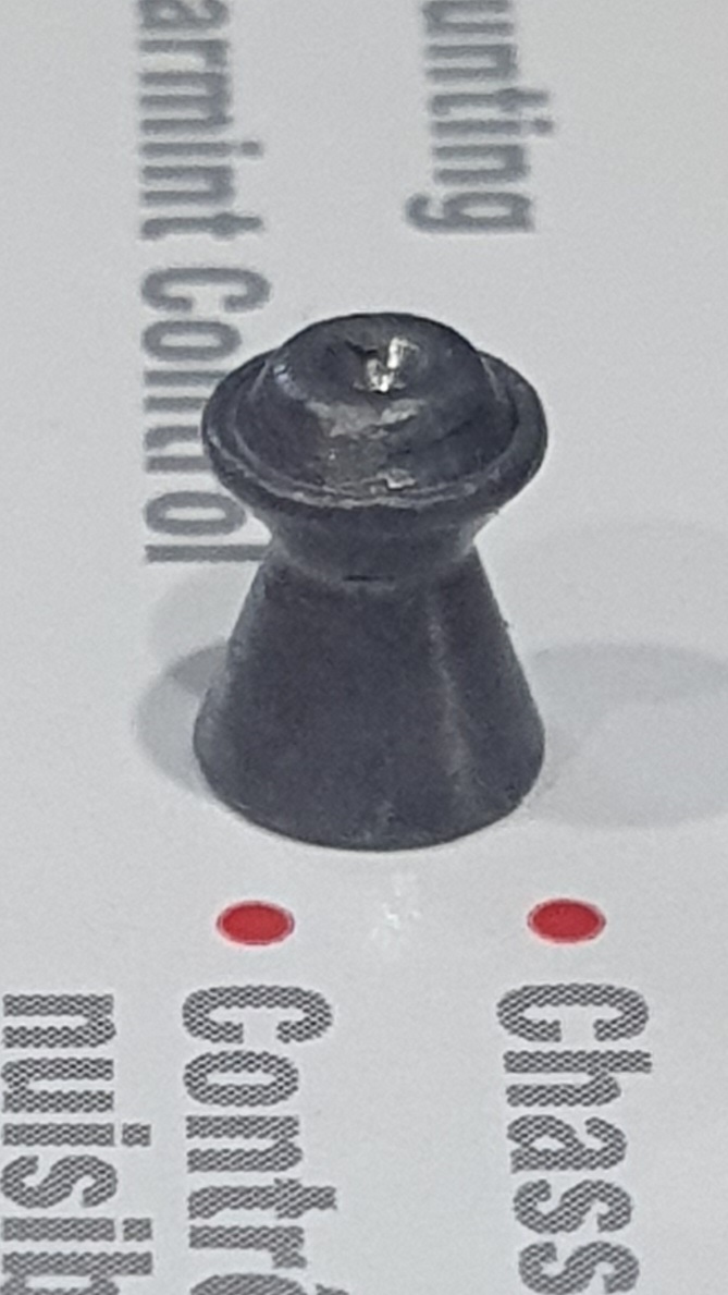 20230430_154308.jpg