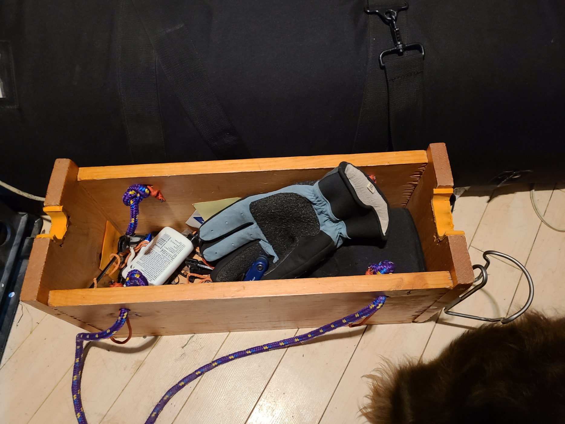 20230505_085430.jpg