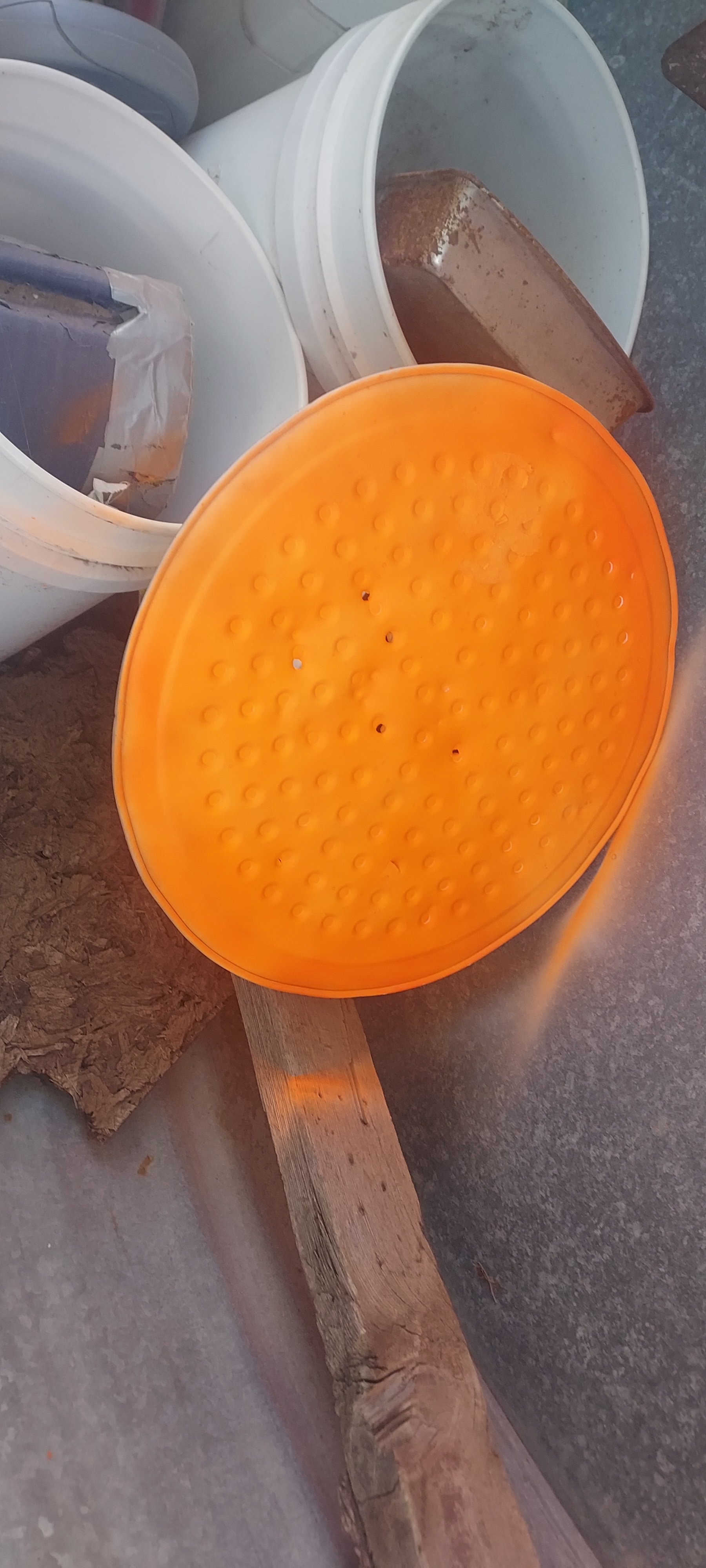 20230507_174210.jpg
