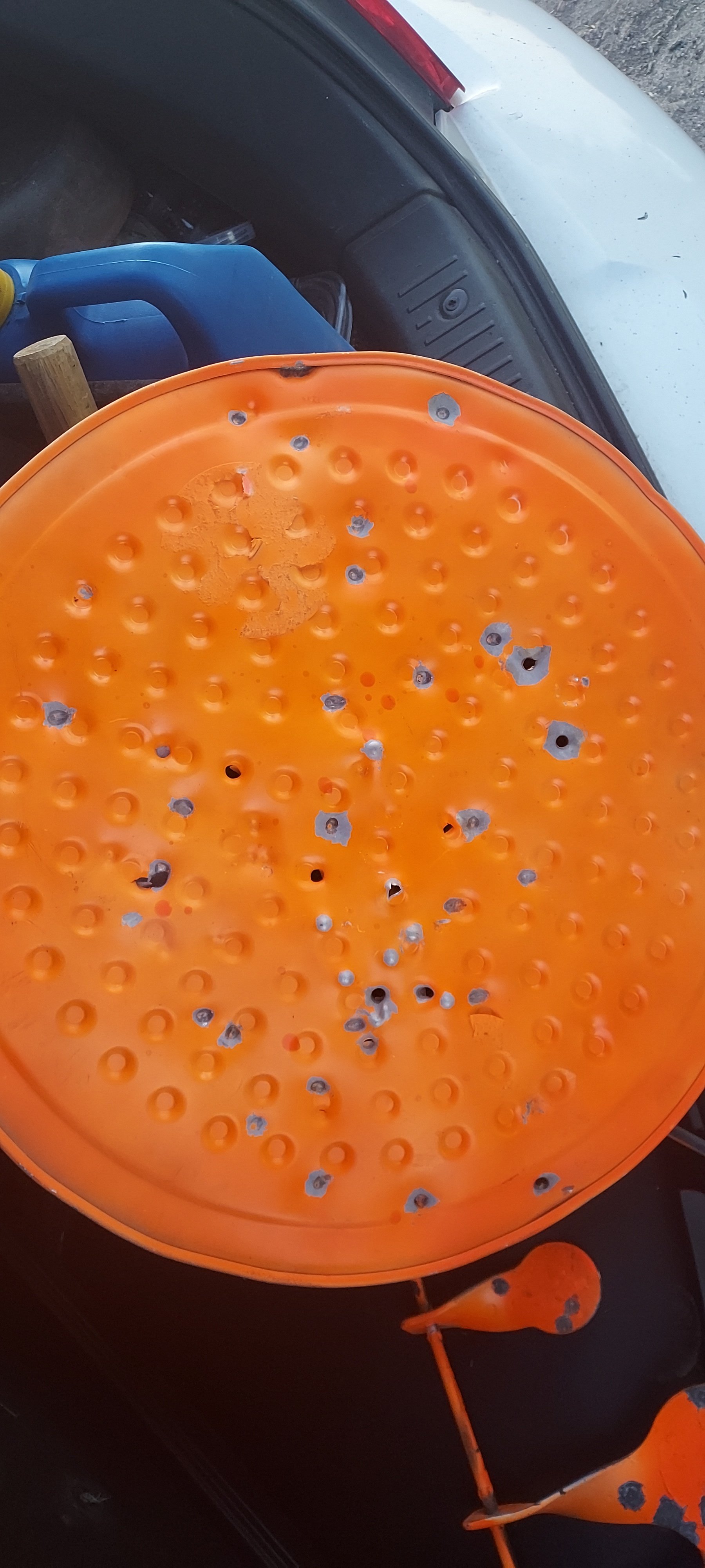 20230508_203602.jpg