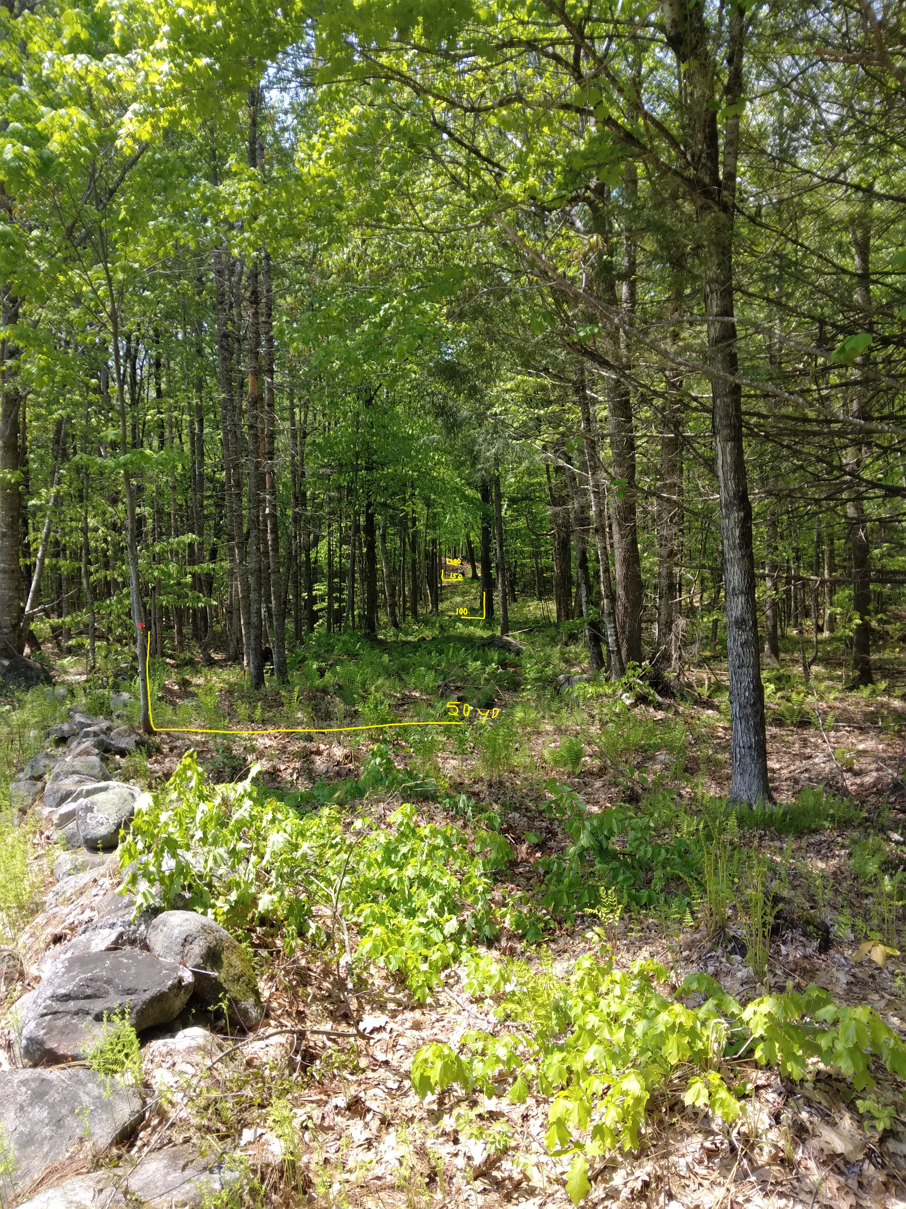 20230521_120920 - Copy.jpg