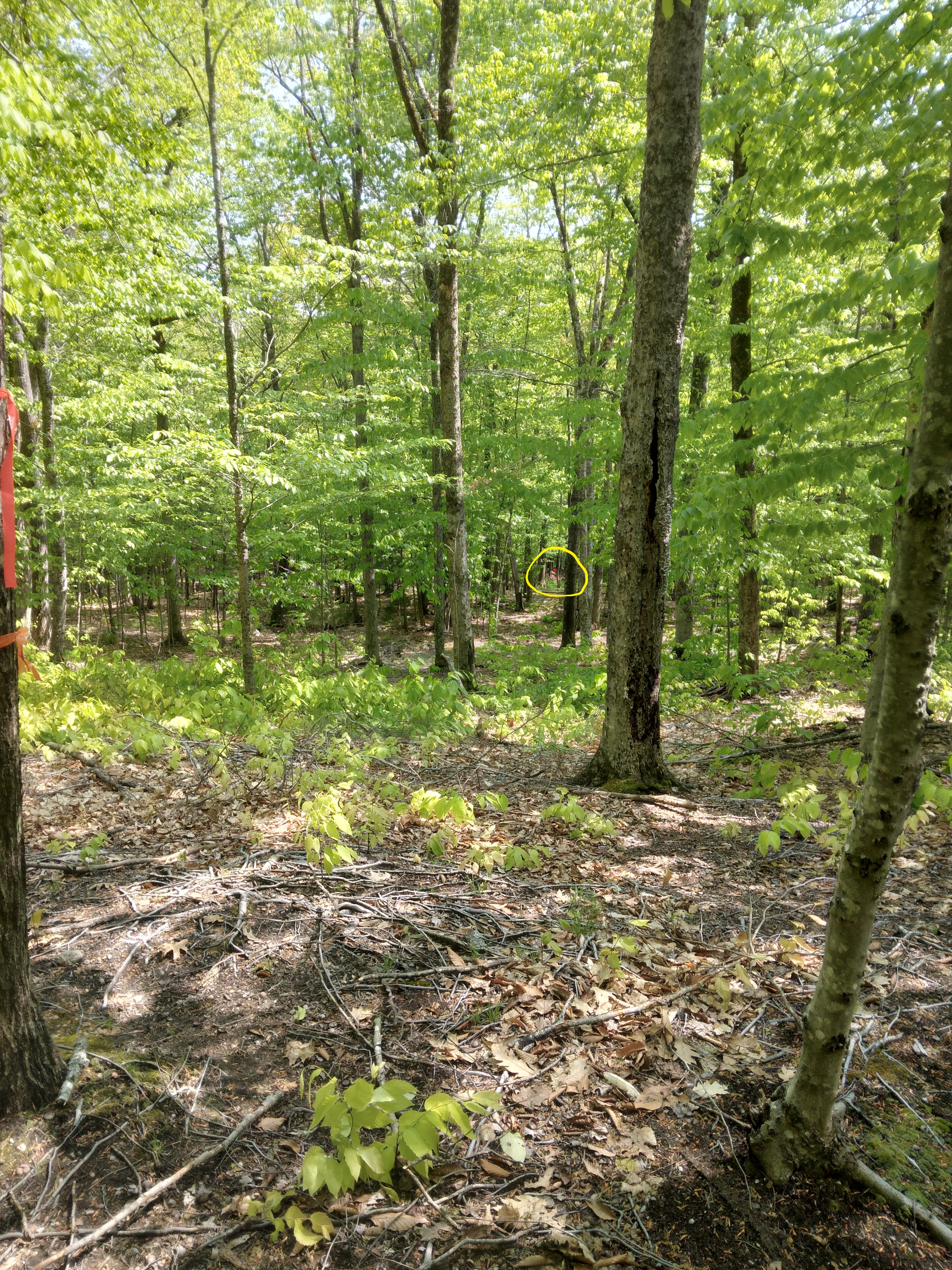 20230521_145248 - Copy.jpg