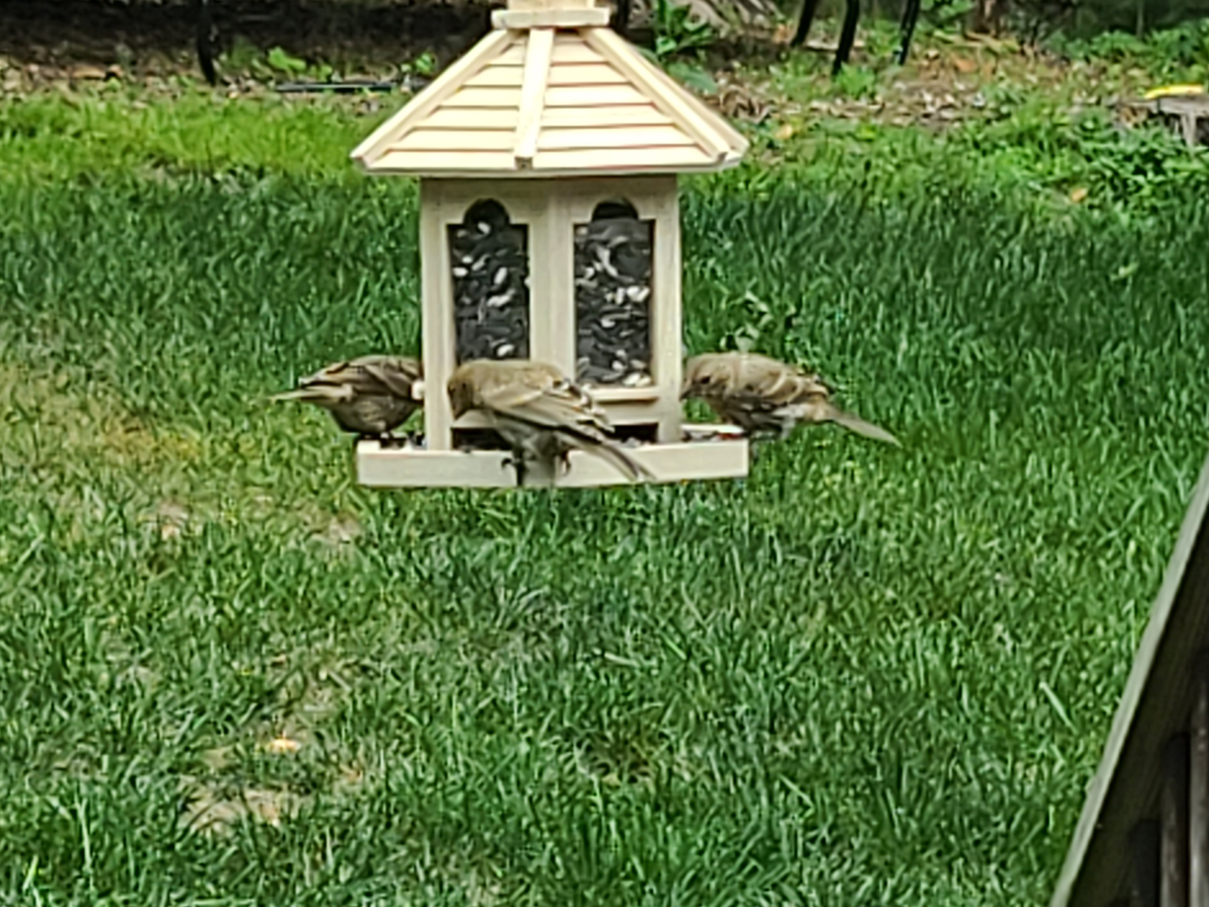 20230529_103007.jpg