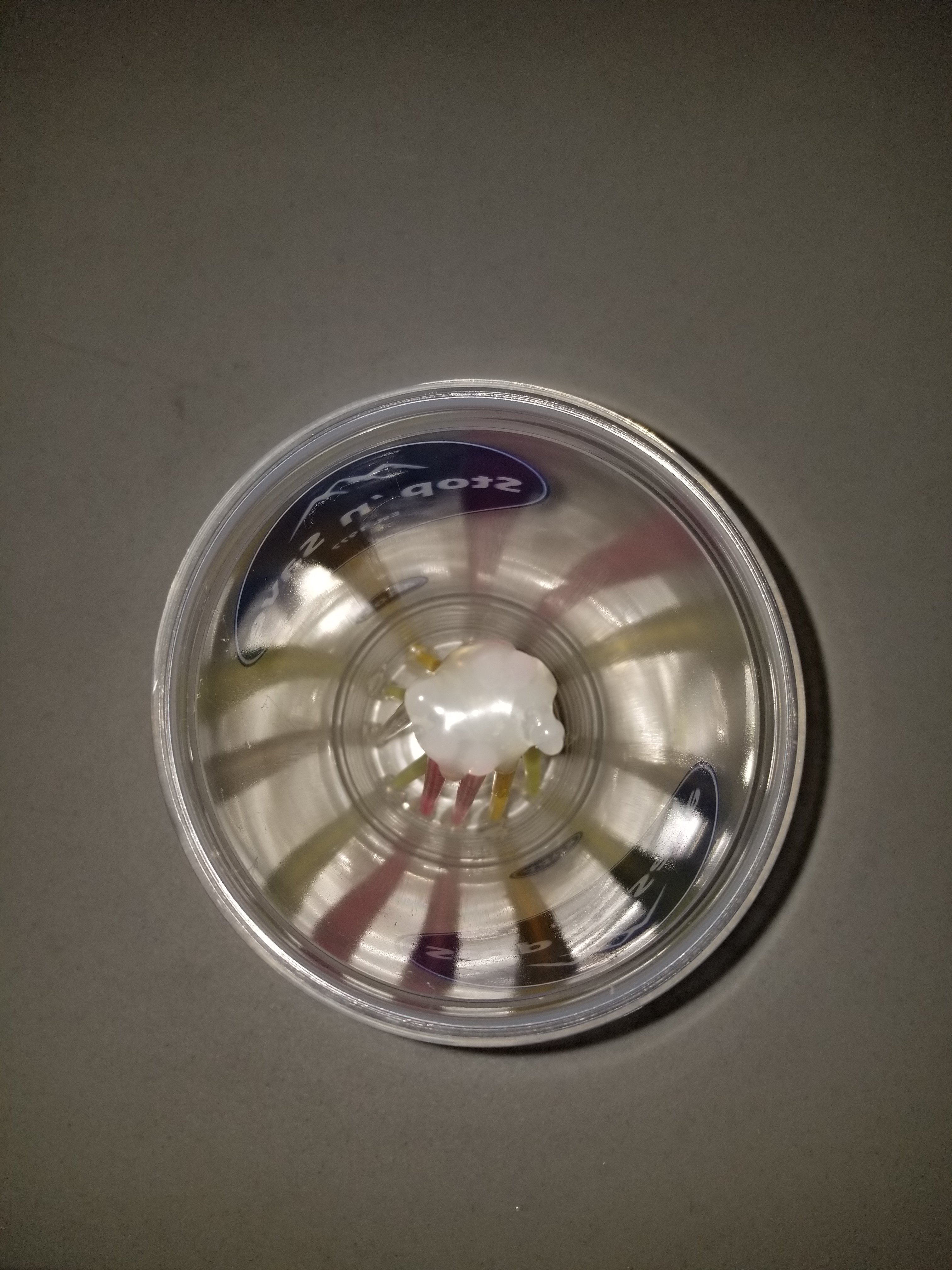 20230604_235558.jpg