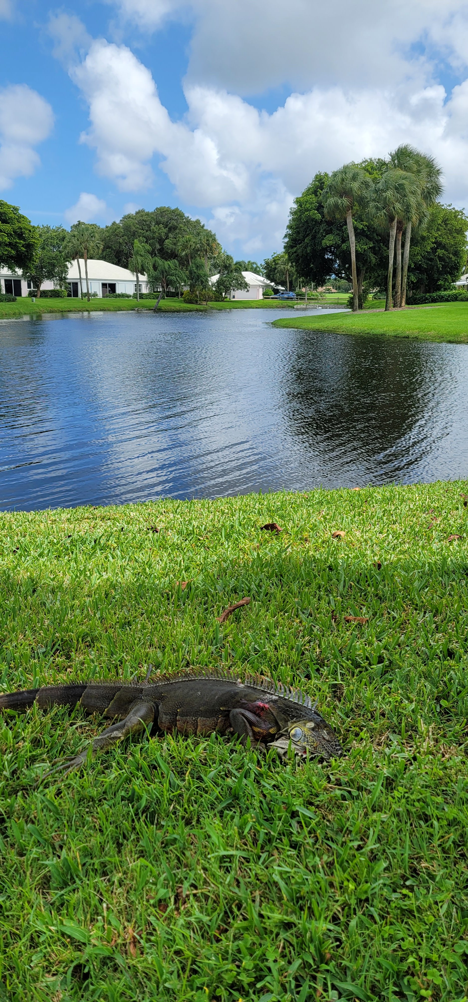 20230605_153908.jpg