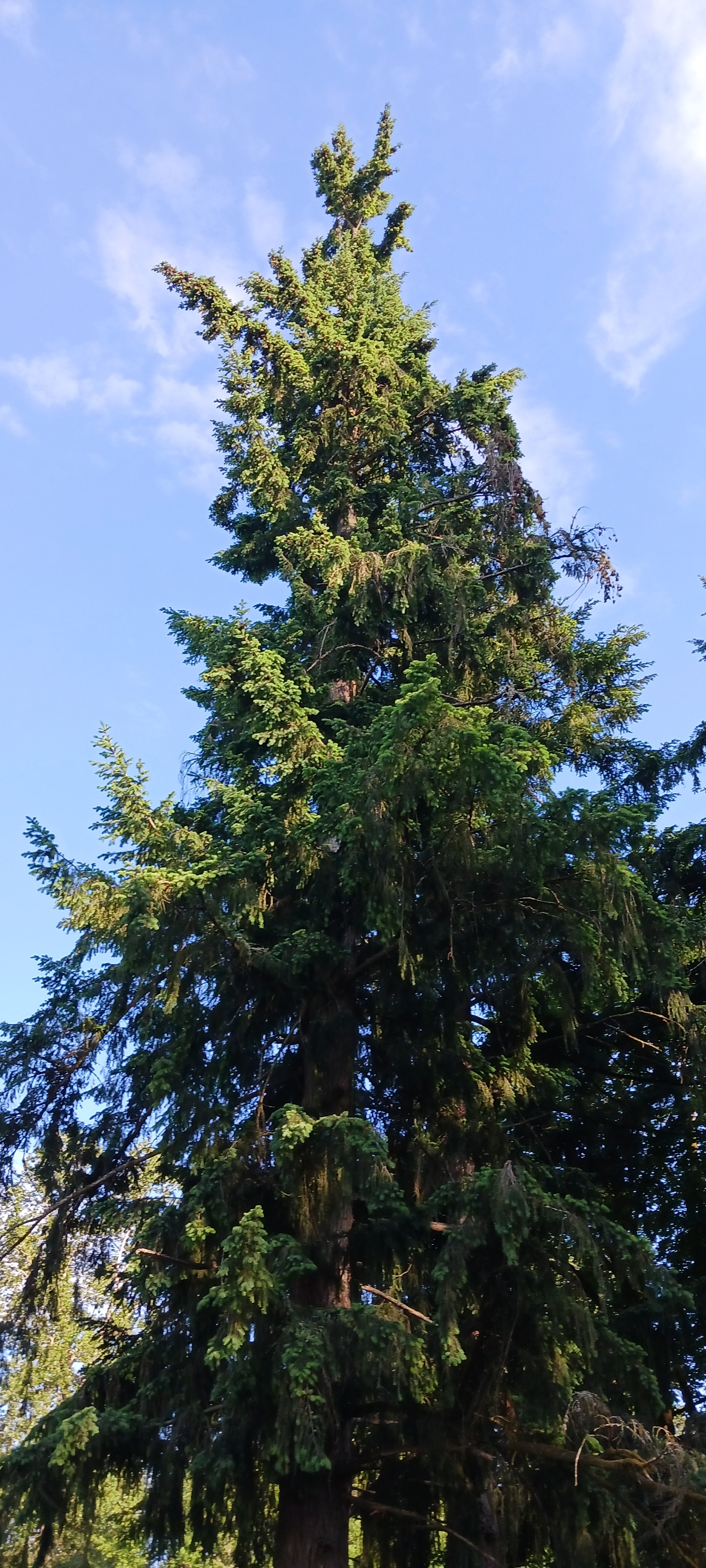 20230607_190122.jpg
