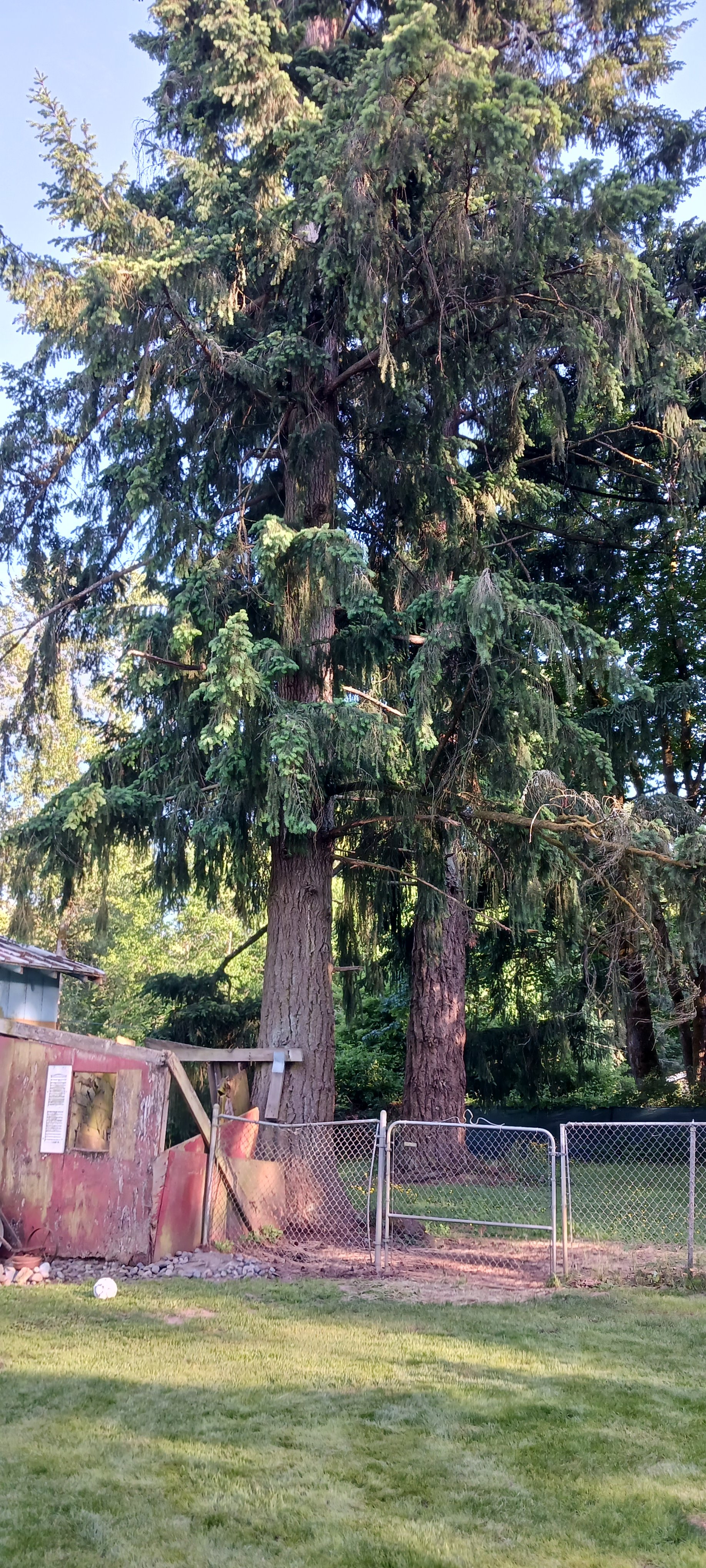 20230607_190127.jpg