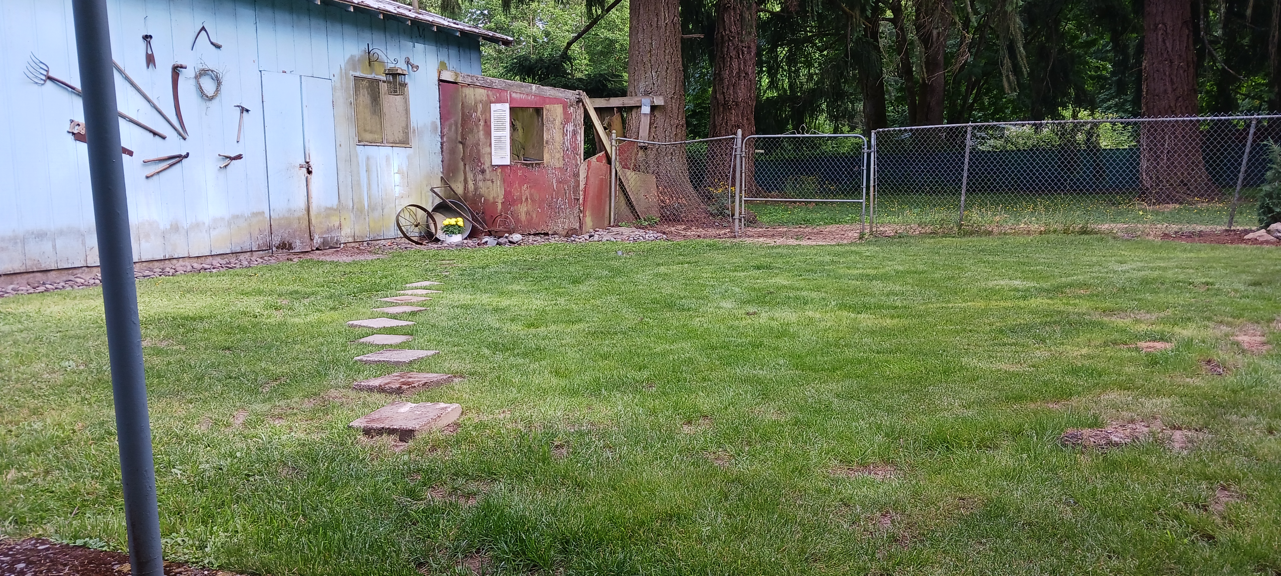 20230608_175855.jpg