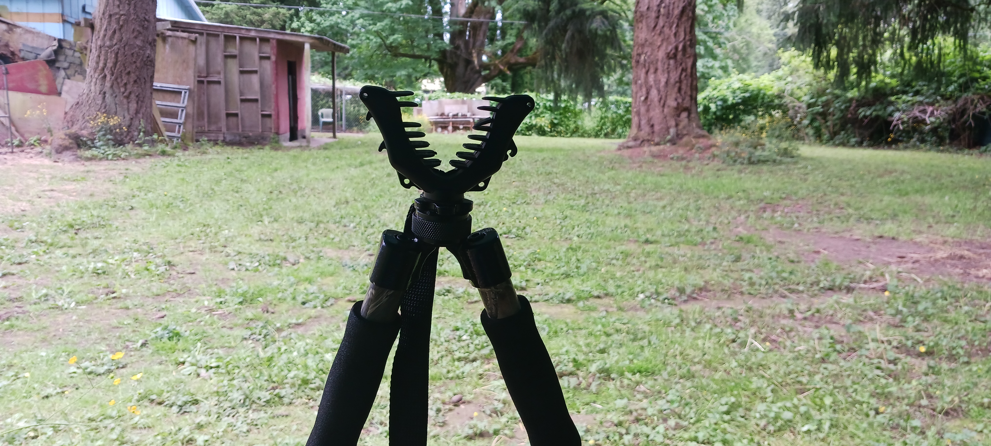 20230611_131353.jpg