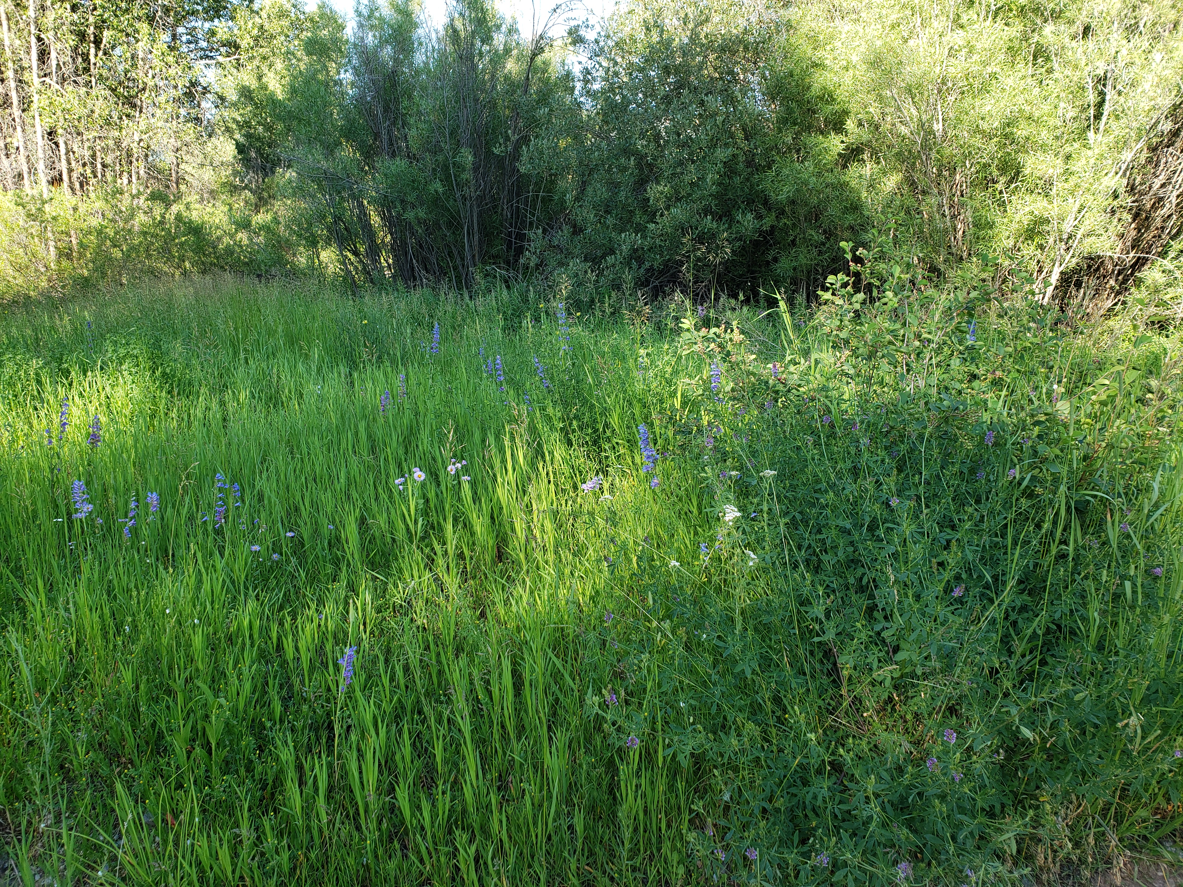 20230711_085612.jpg